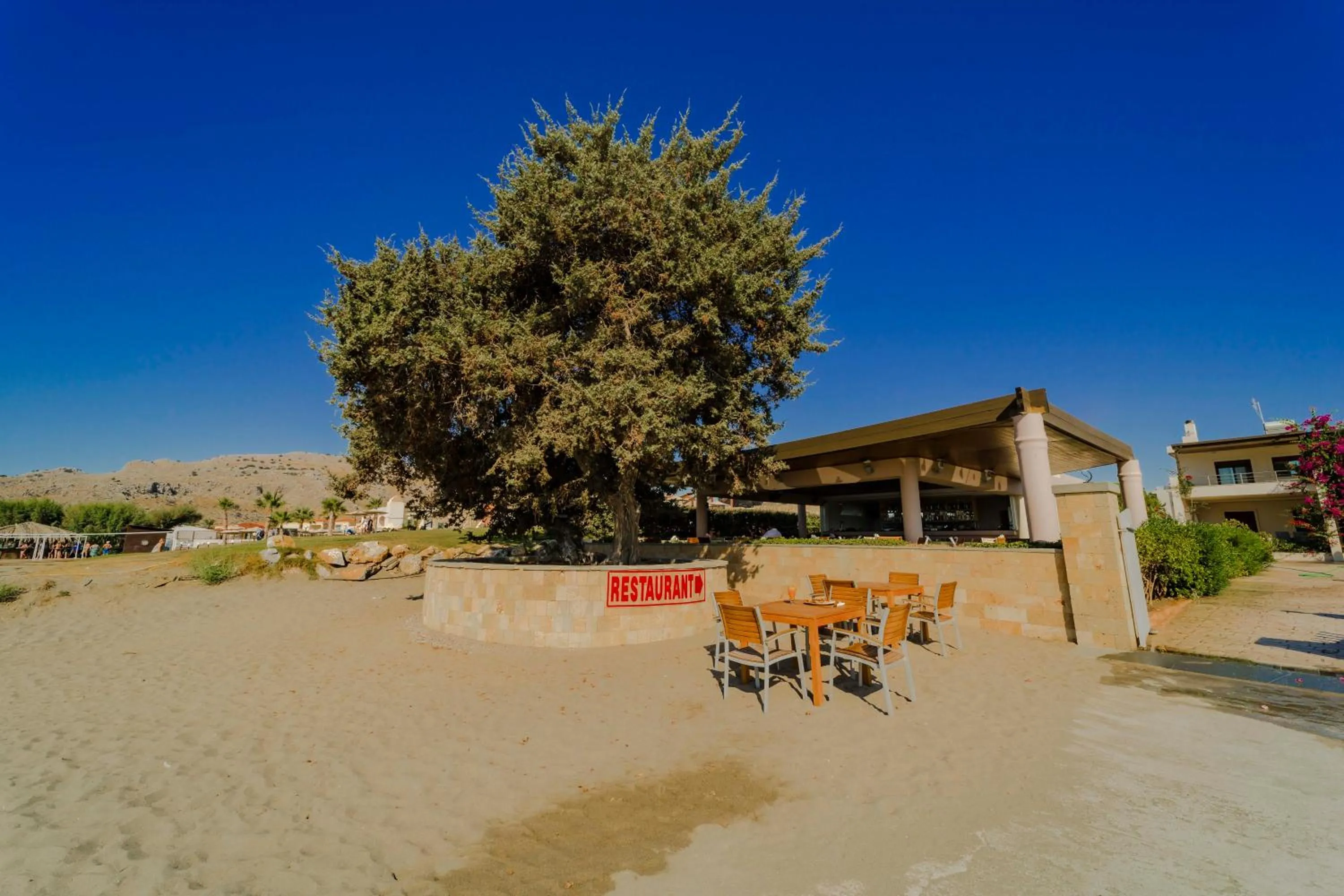 Day in Amaryllis front beach hotel