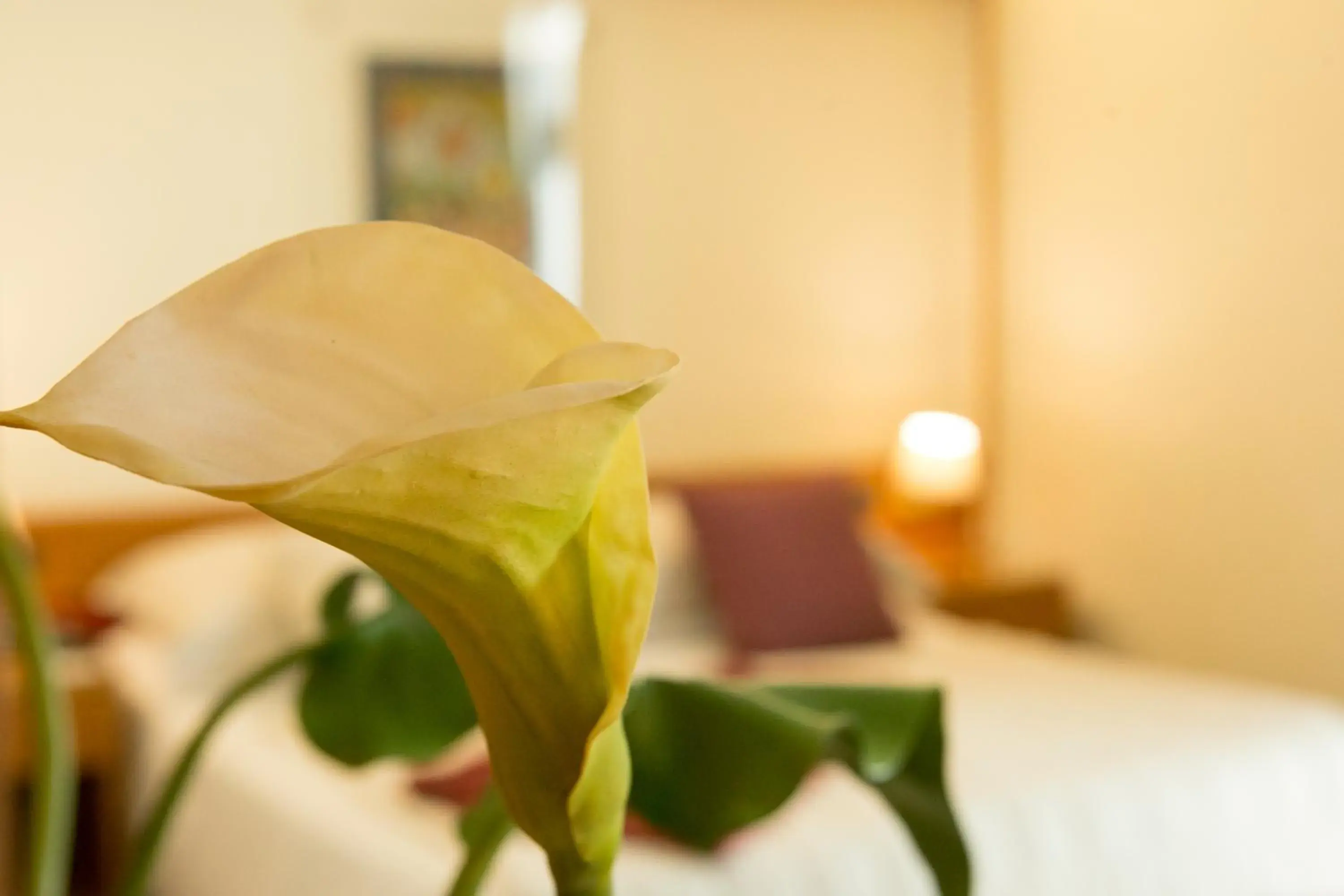 Decorative detail, Bed in Best Western Hotel Dei Cavalieri Decorative detail, Bed in Best Western Hotel Dei Cavalieri