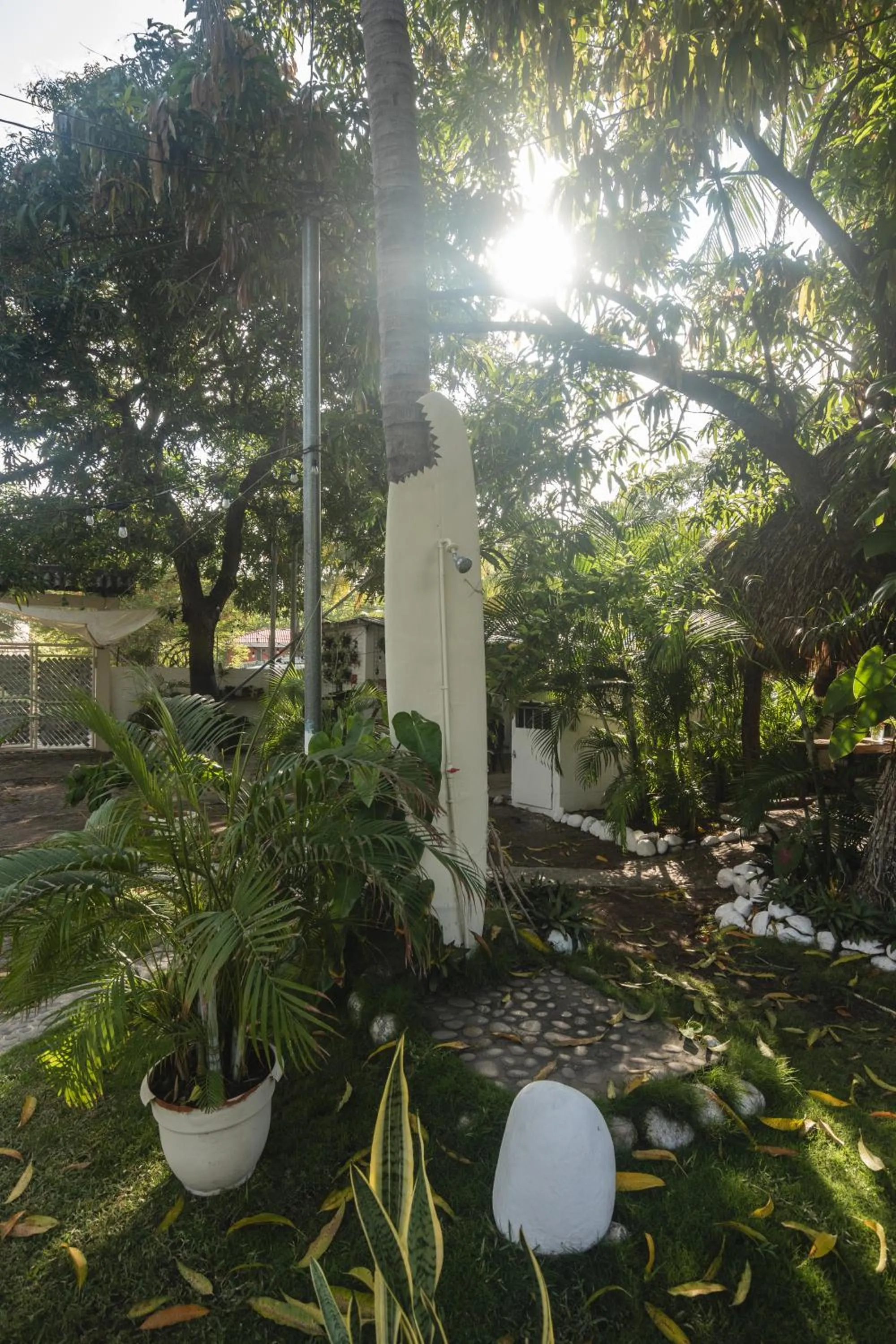 Spring in La Canasta