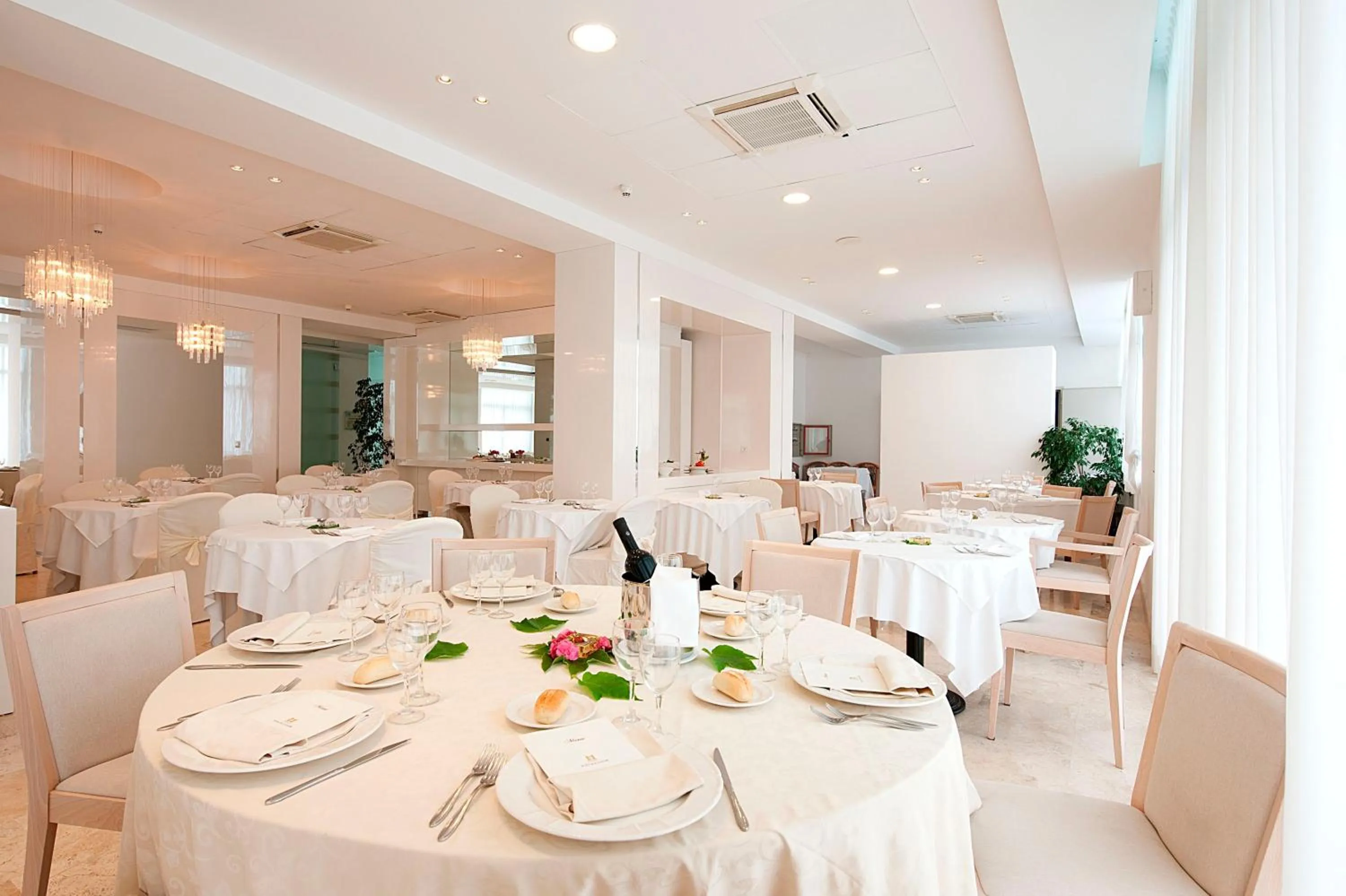 Restaurant/places to eat in Hotel Excelsior