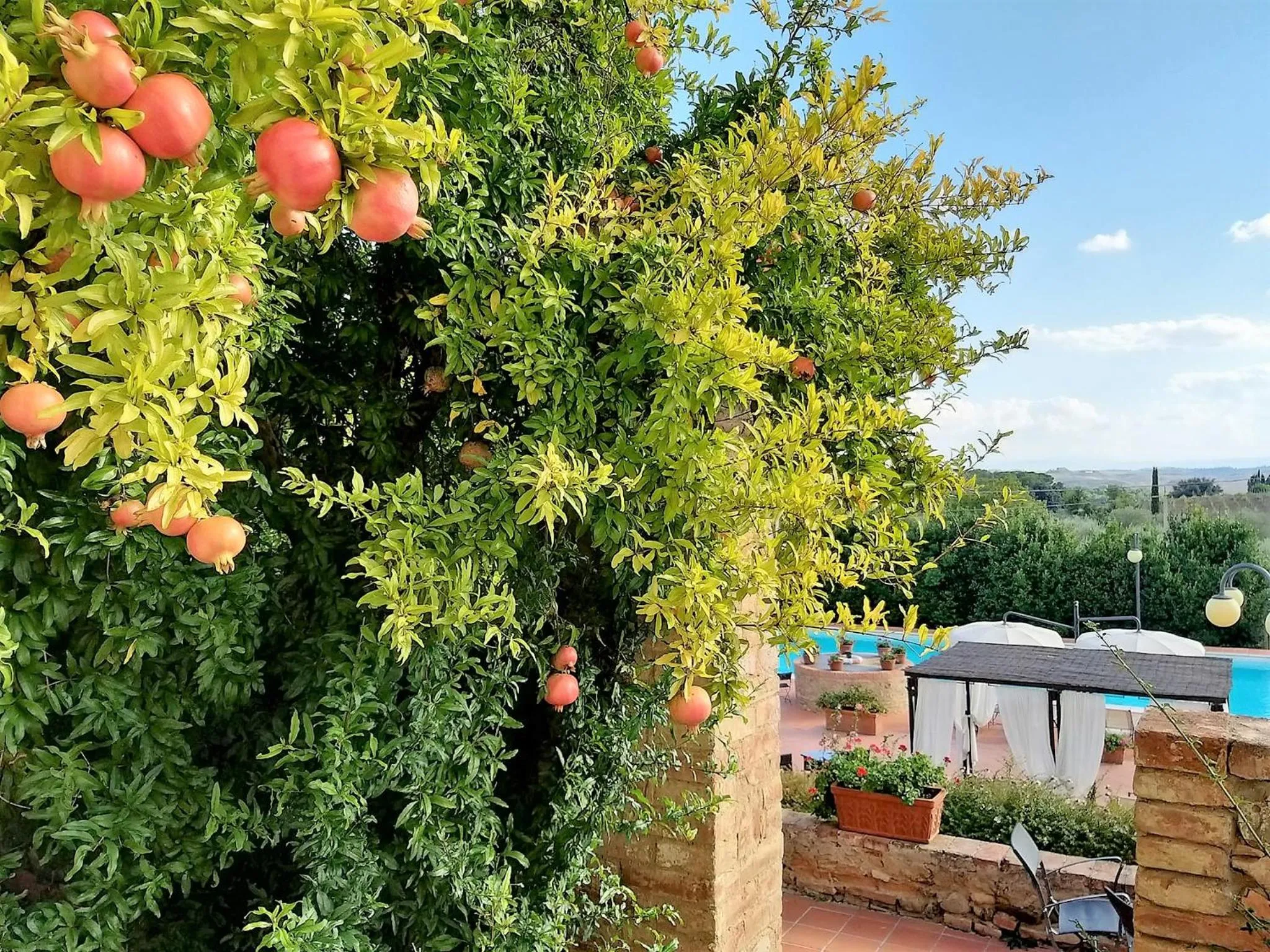 Garden in Villa Curina Resort