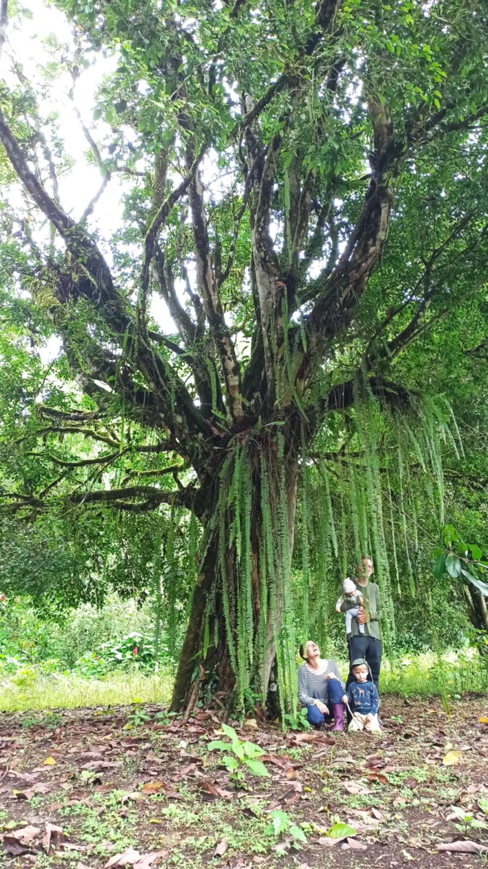 Mariana Miller Lodge