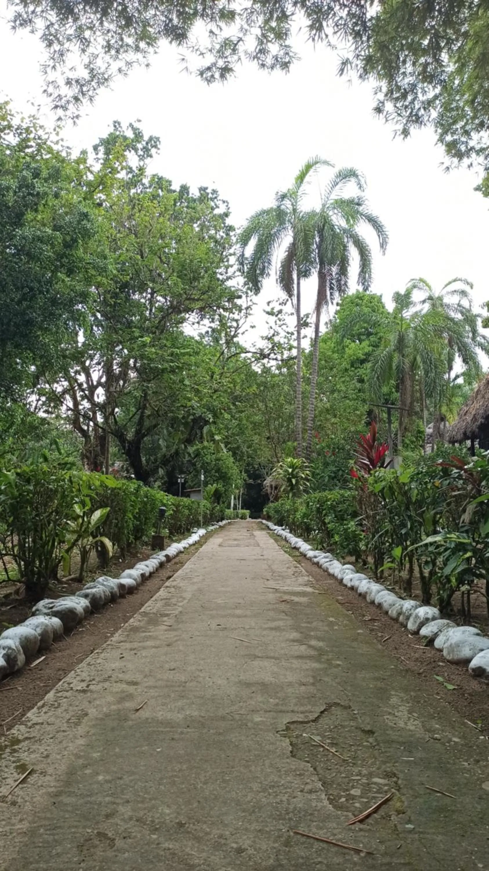 Mariana Miller Lodge