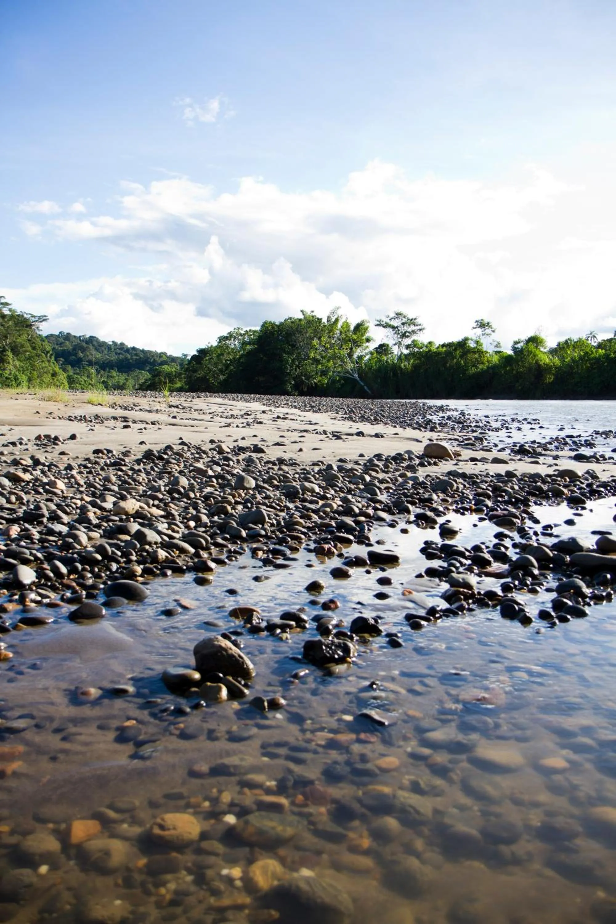 Beach in Mariana Miller Lodge