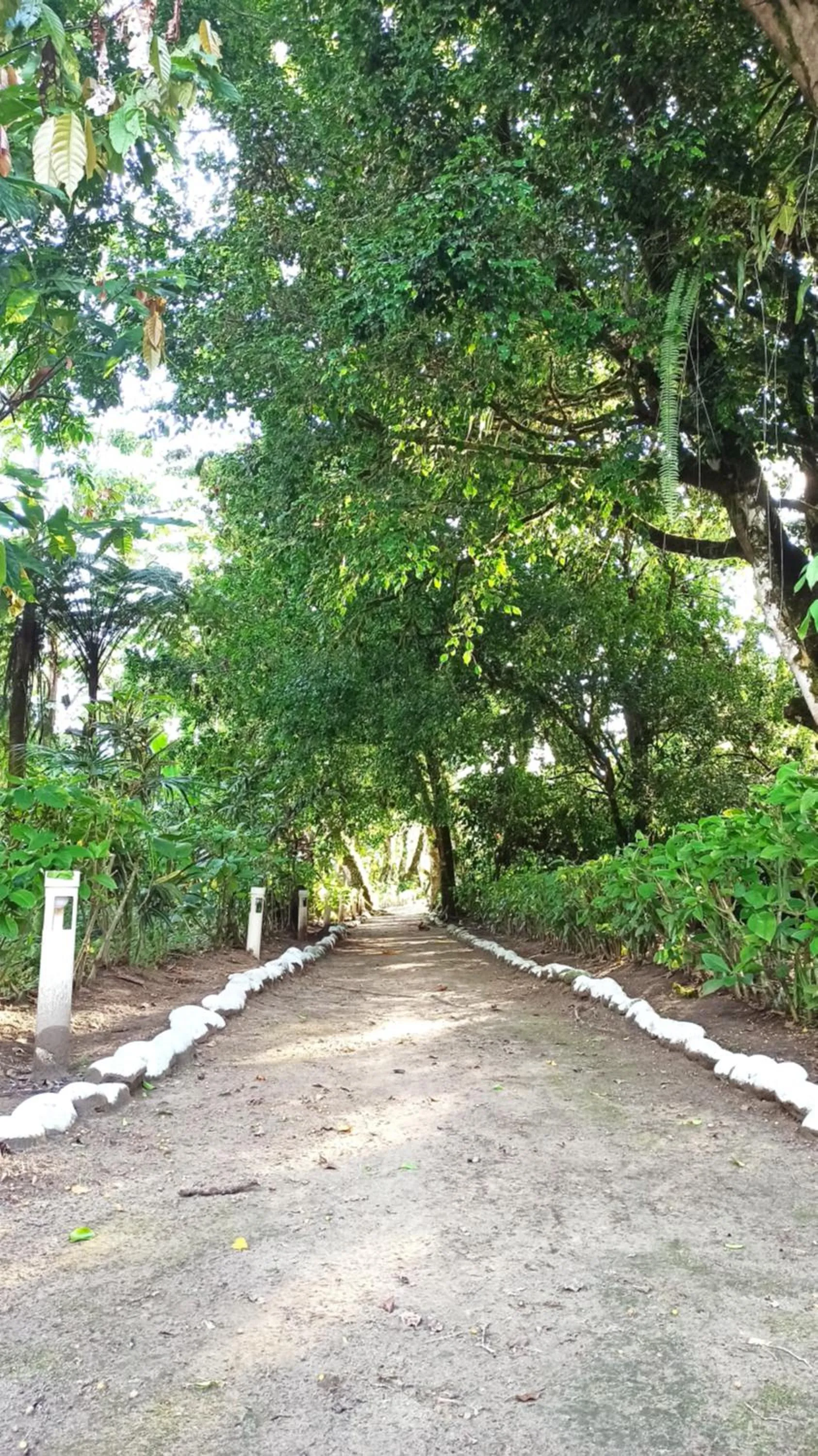 Mariana Miller Lodge