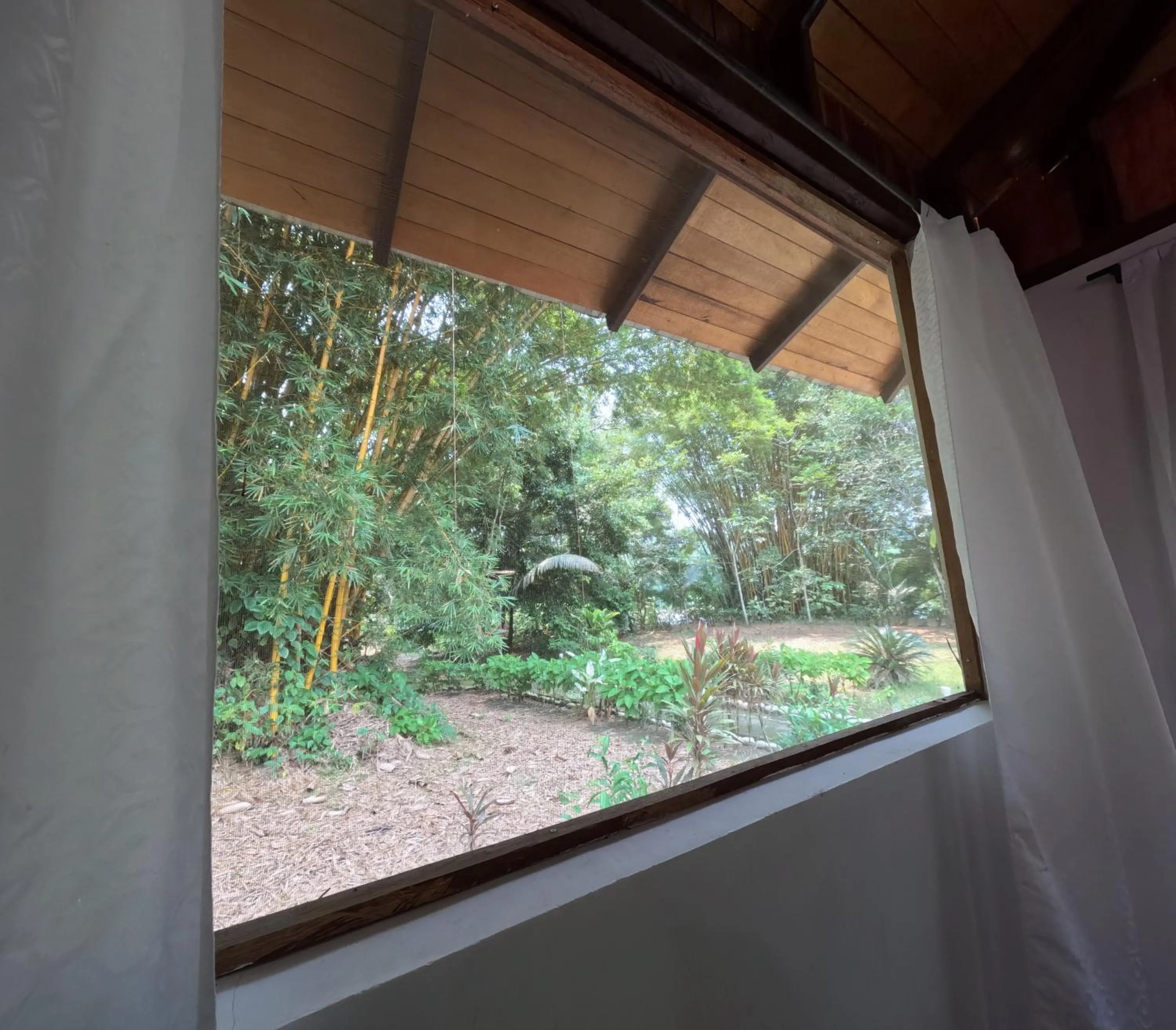View (from property/room) in Mariana Miller Lodge