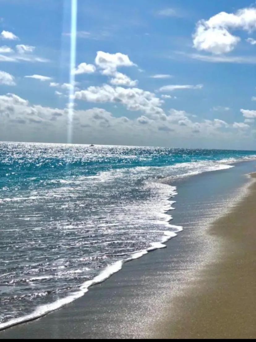 TROPICAL Palm Beach 2BEDROOM2 BATHROOM FREE Valet OutdoorPOOL Beach Garden