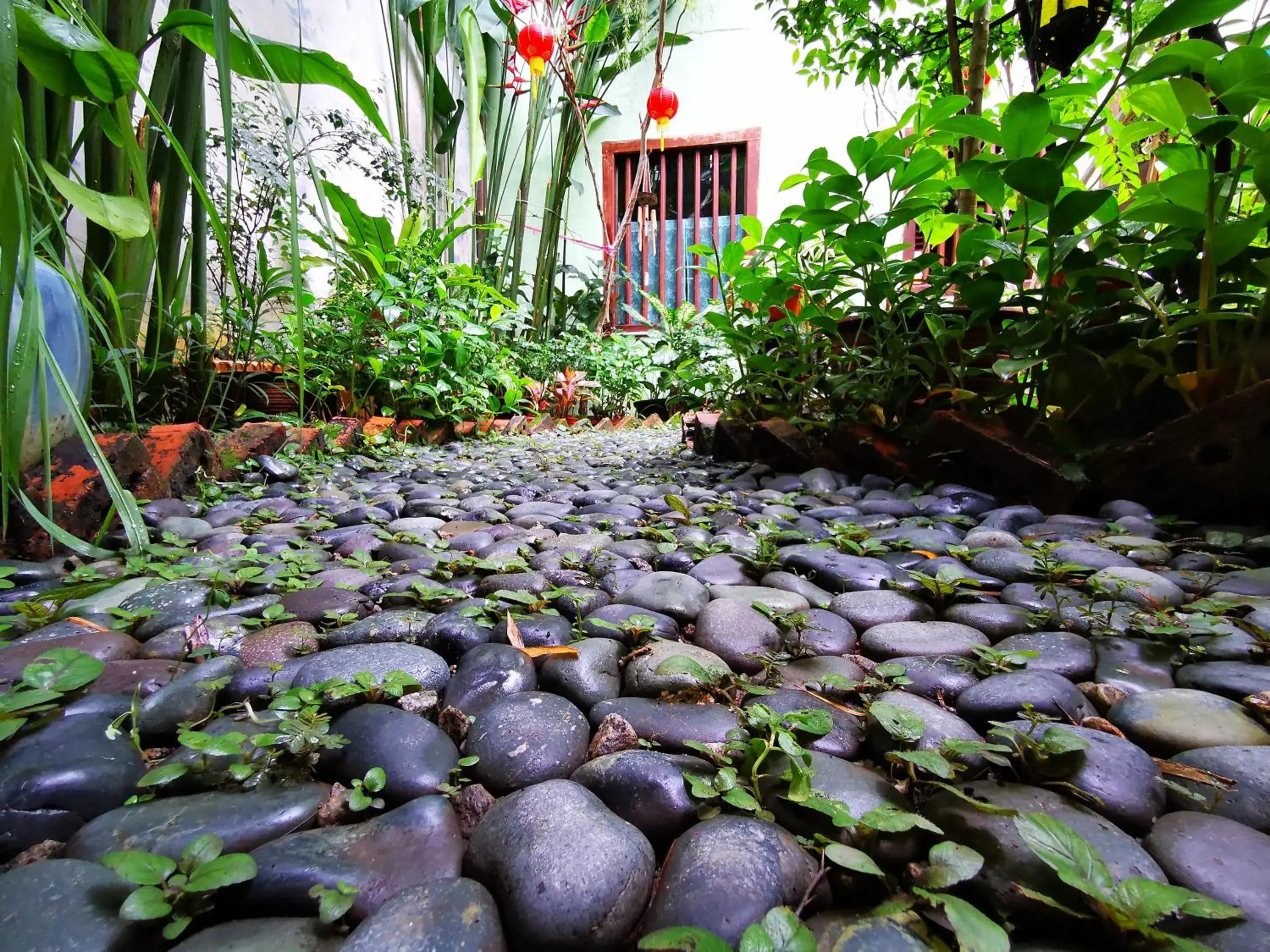 Garden view in East Indies Mansion Garden view in East Indies Mansion