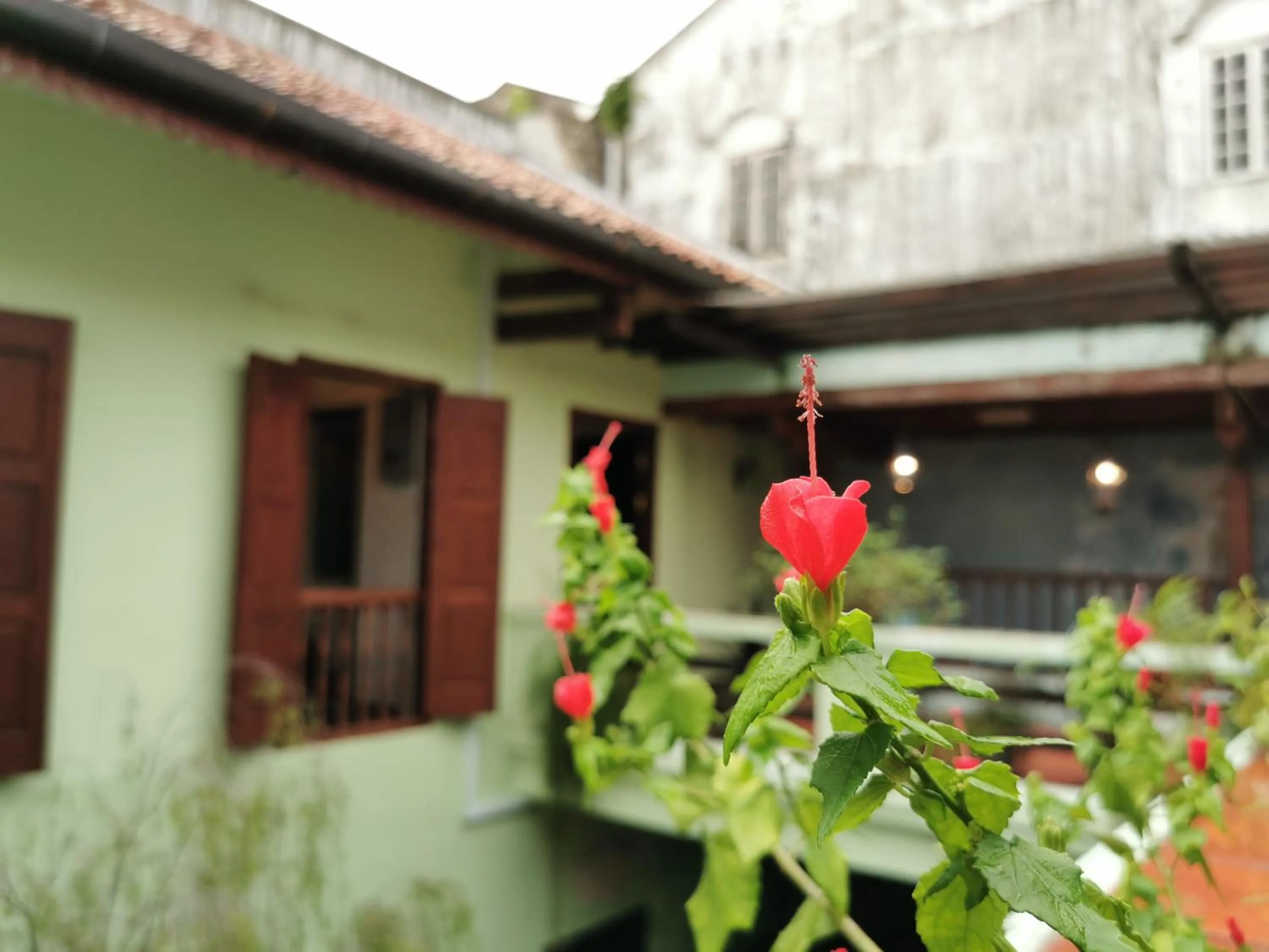 Other in East Indies Mansion