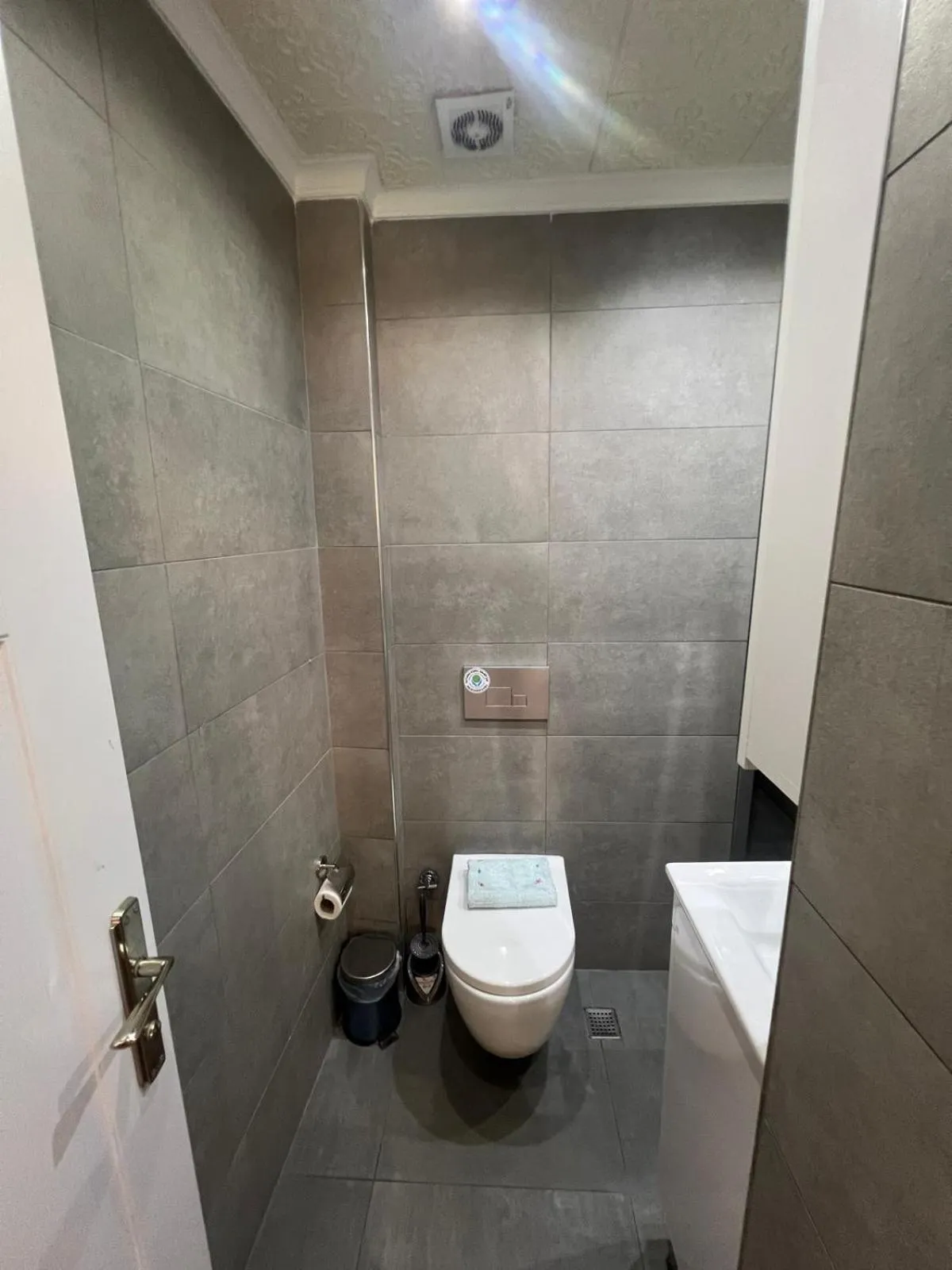 Toilet in Middle Village