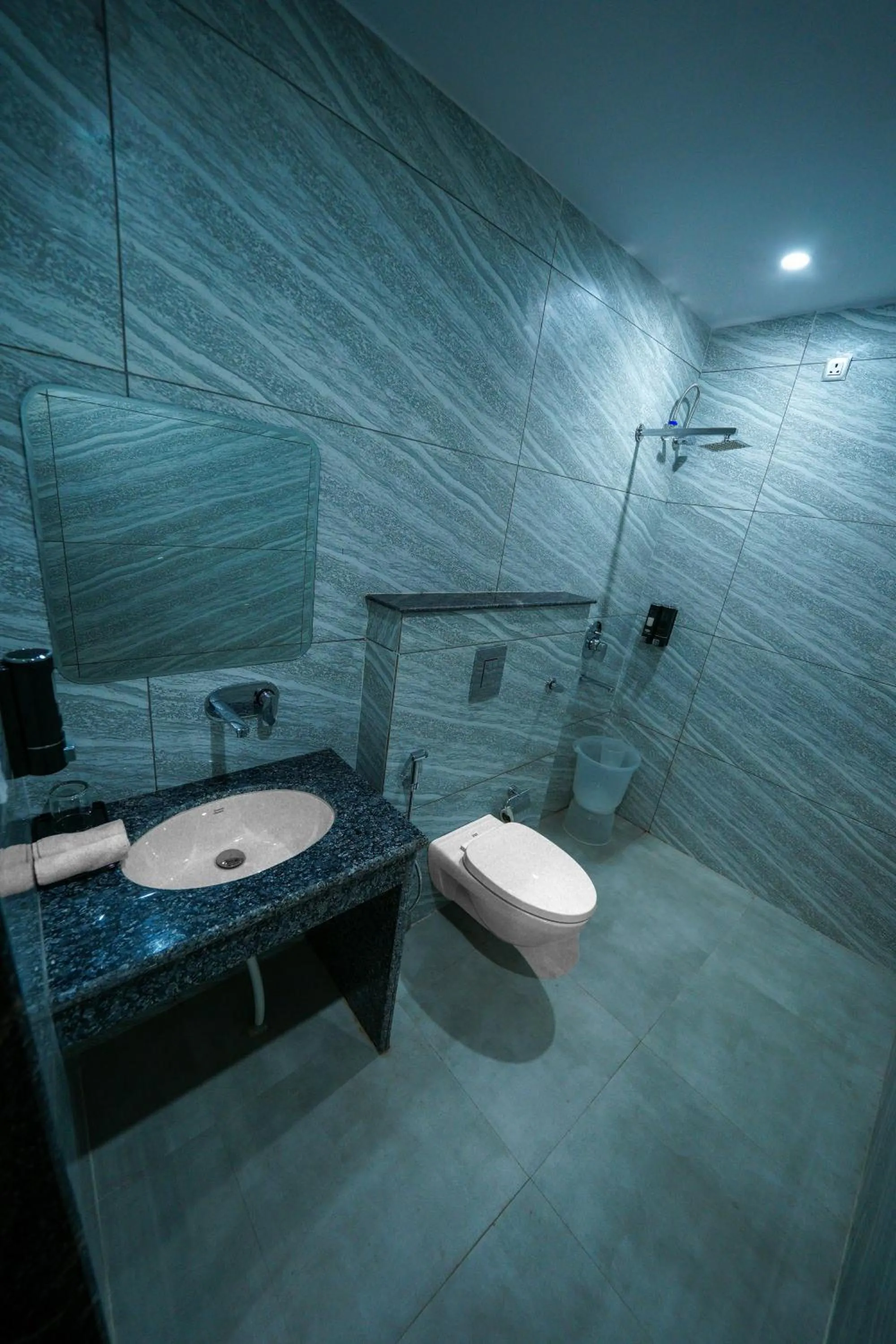 Bathroom in The Abhyudyam Ganga