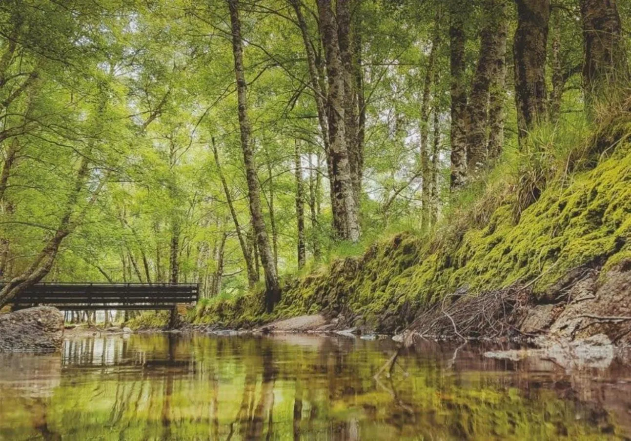Nearby landmark in Vale do Zêzere Hotel