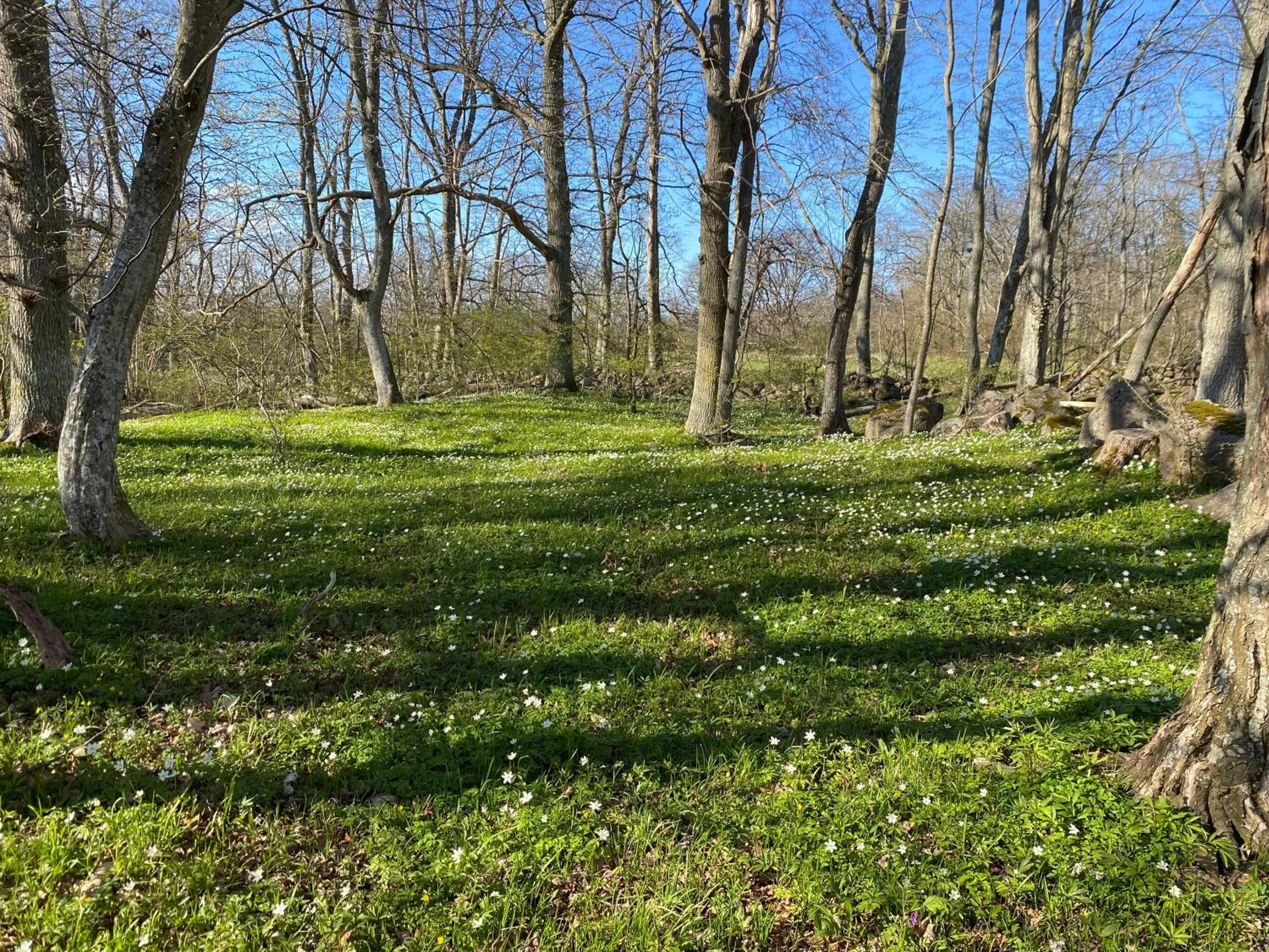 Gård Halltorps hage