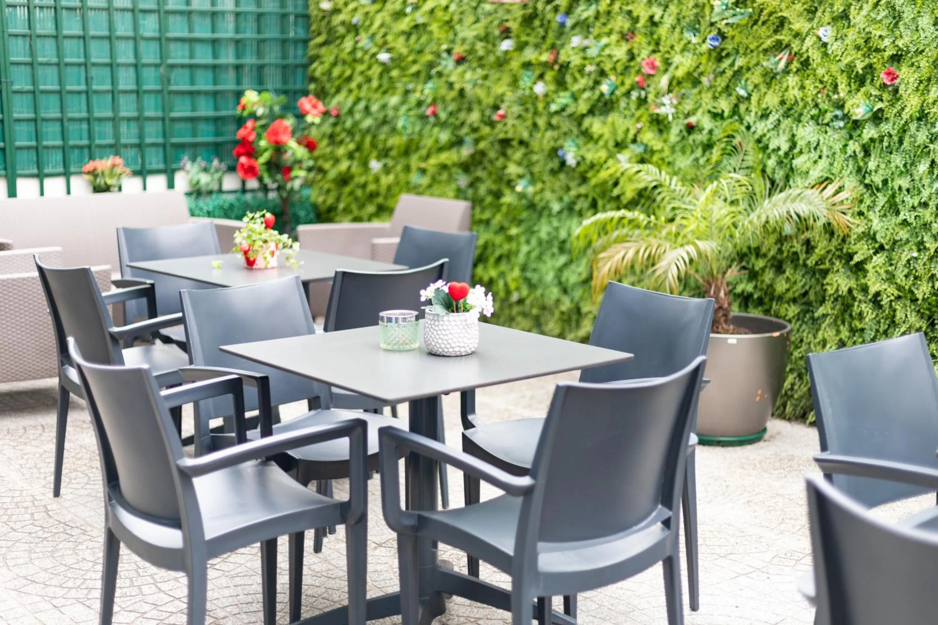 Garden in Avenue 41 Guest House