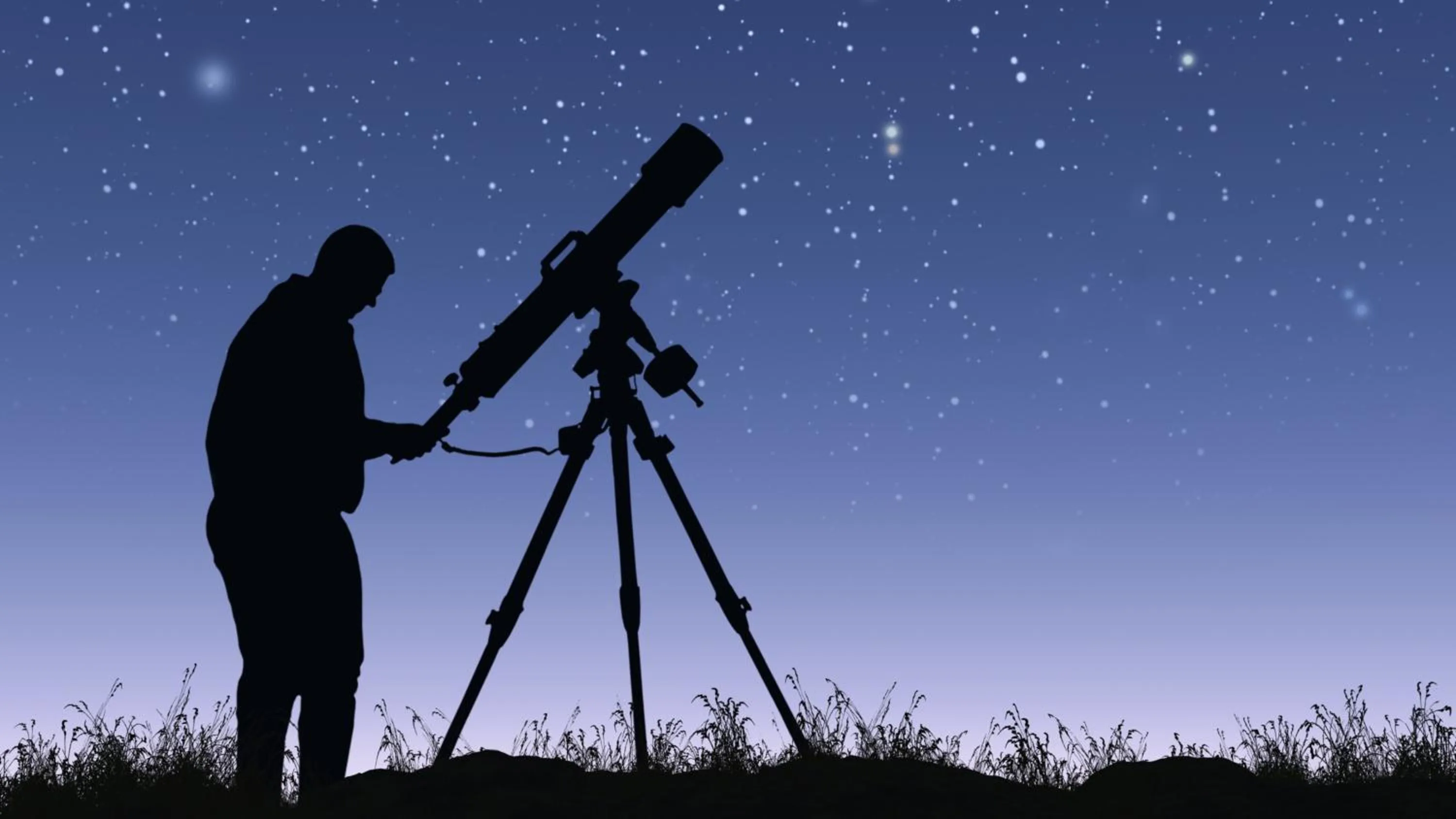 Activities in voco Jim Corbett by IHG