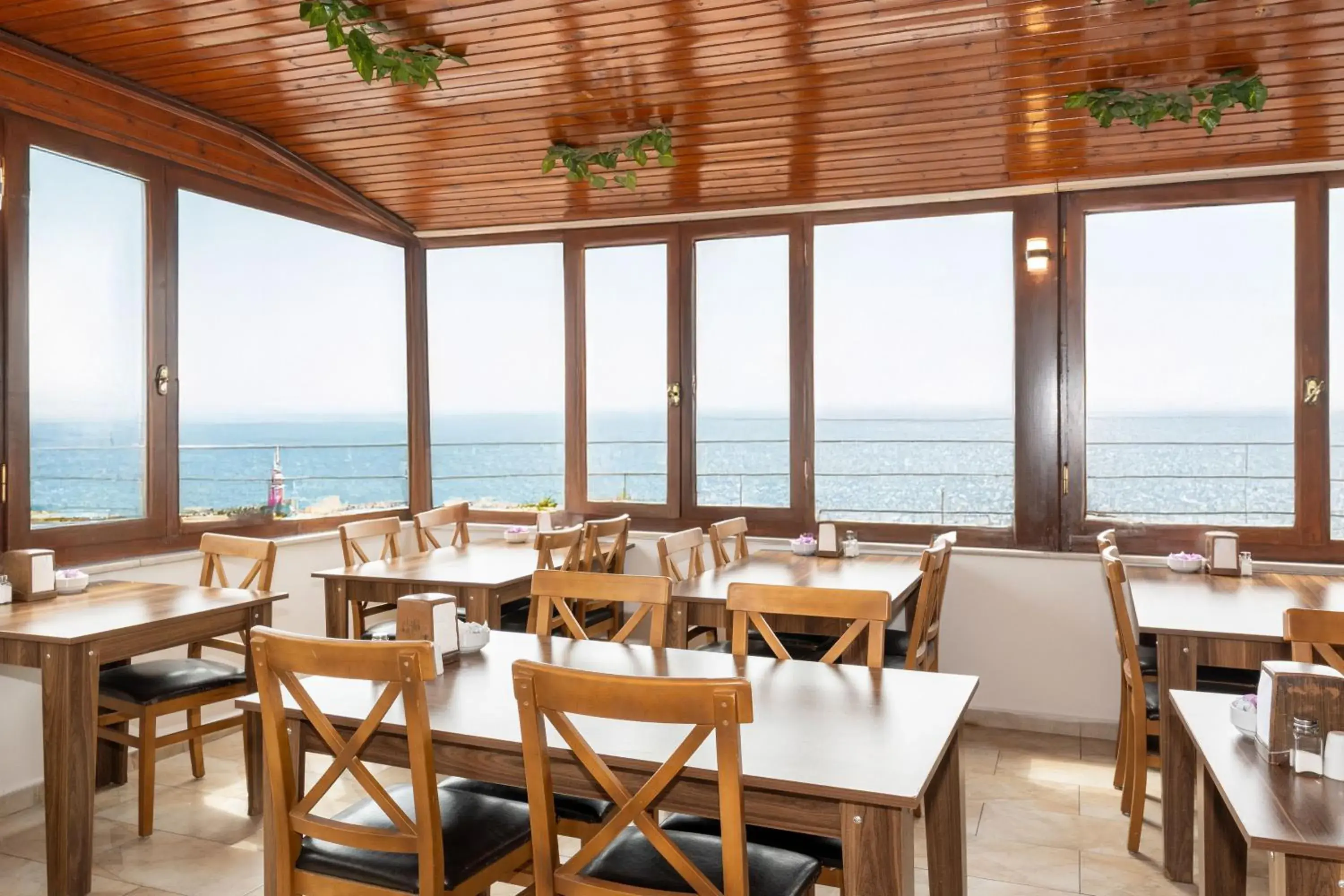 Restaurant/places to eat in Olimpic Hotel Restaurant/places to eat in Olimpic Hotel