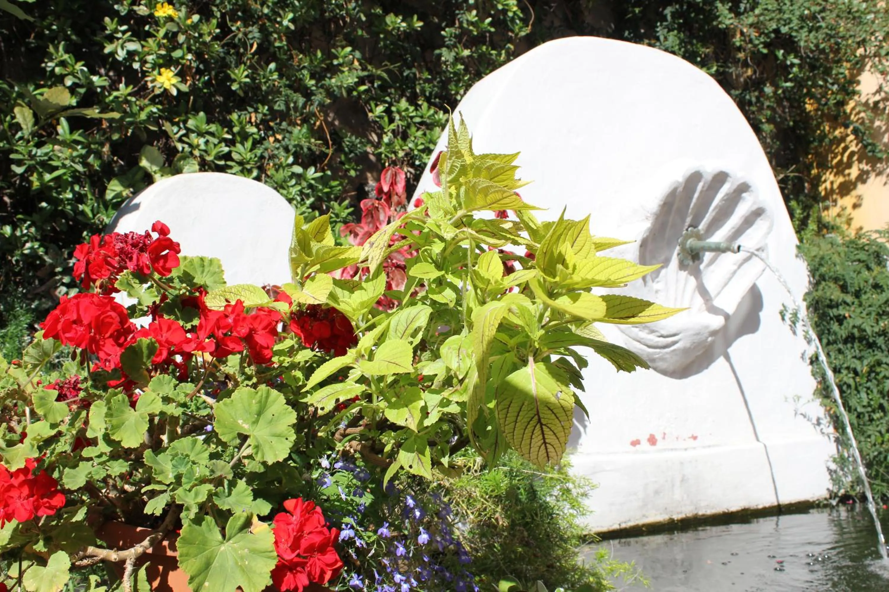 Garden in Hotel San Telmo