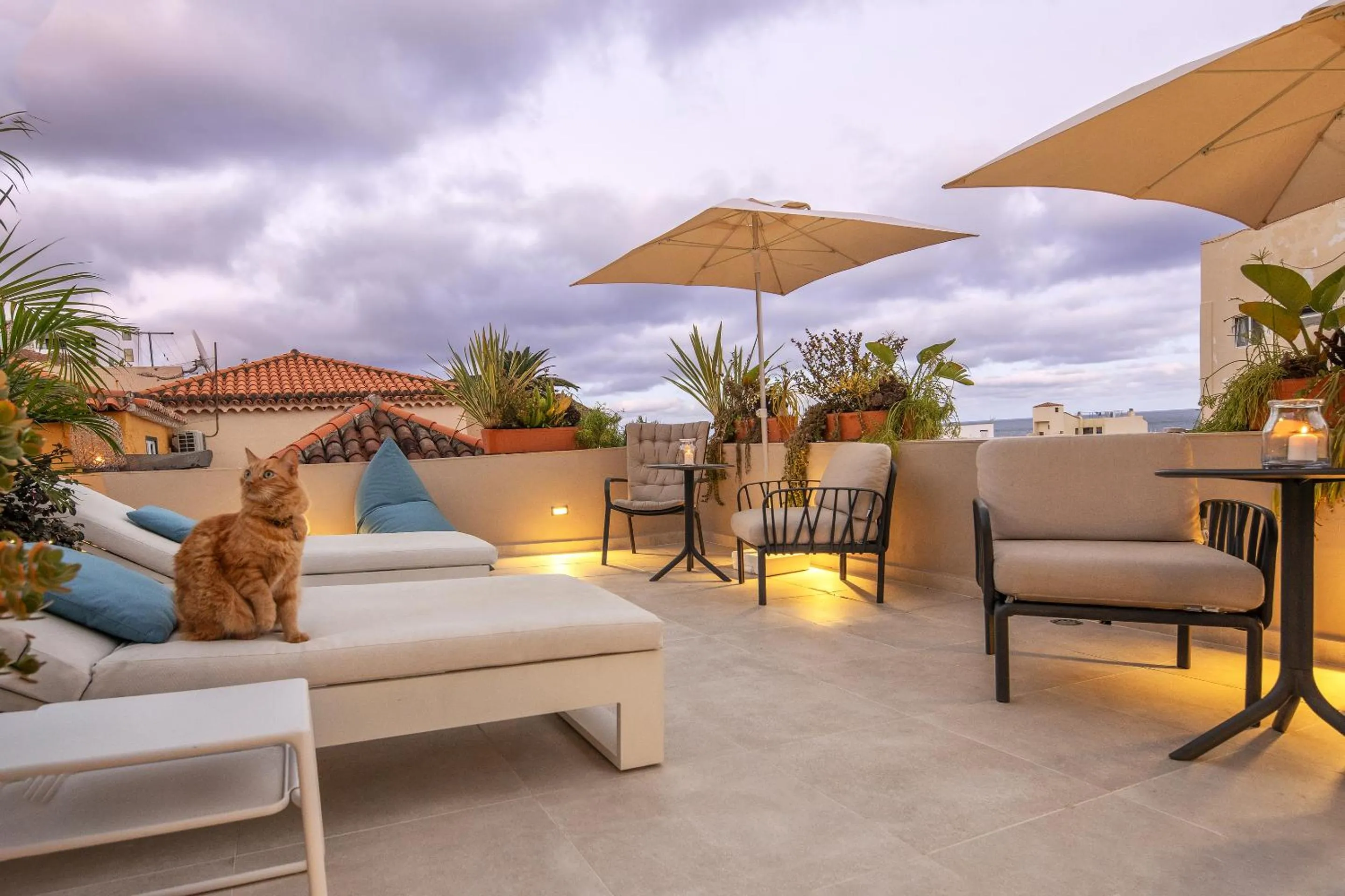 Balcony/Terrace in Hotel San Telmo