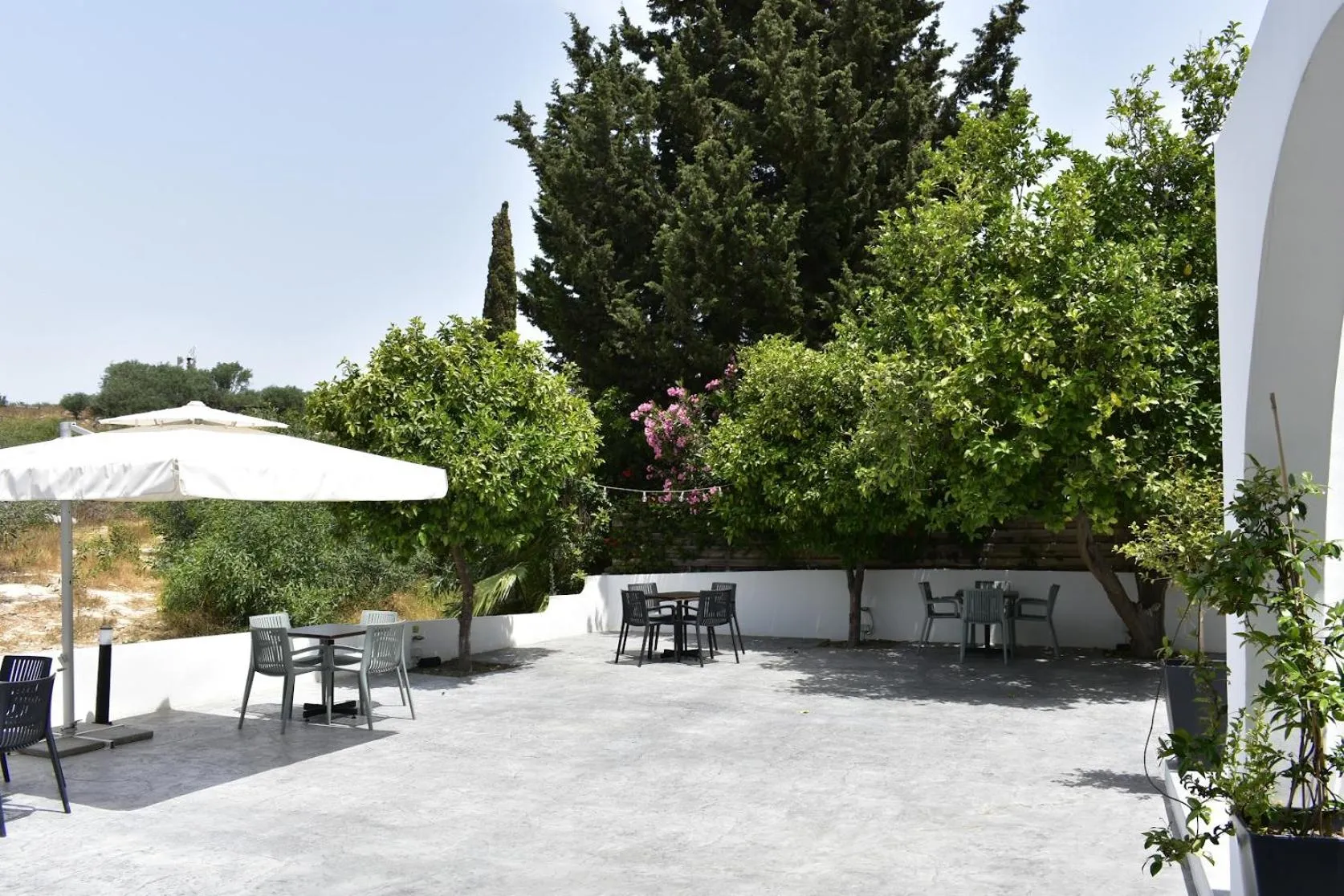 Garden view in Zoi Ayia Napa