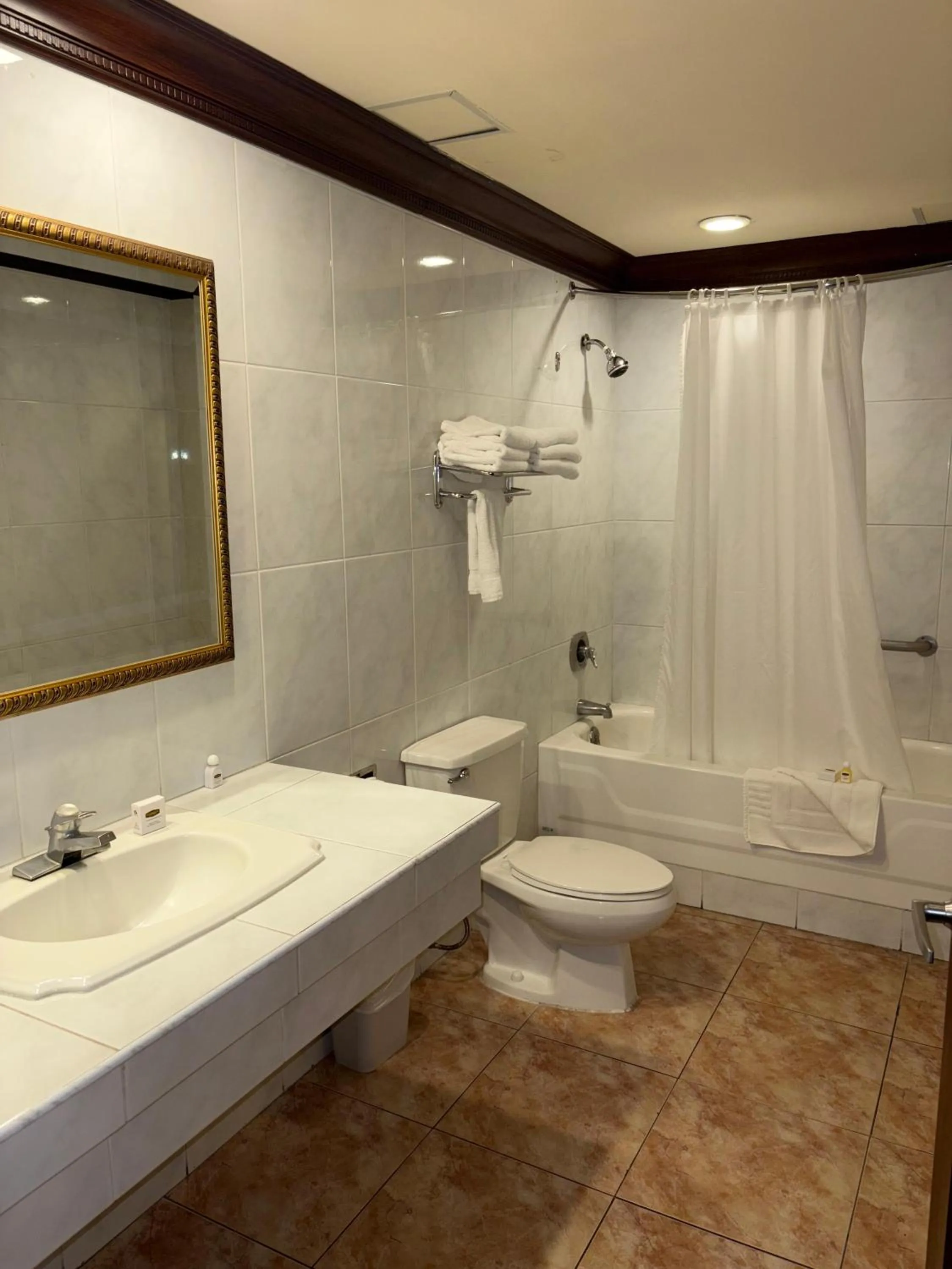 Bath in FLORENCIA PLAZA HOTEL