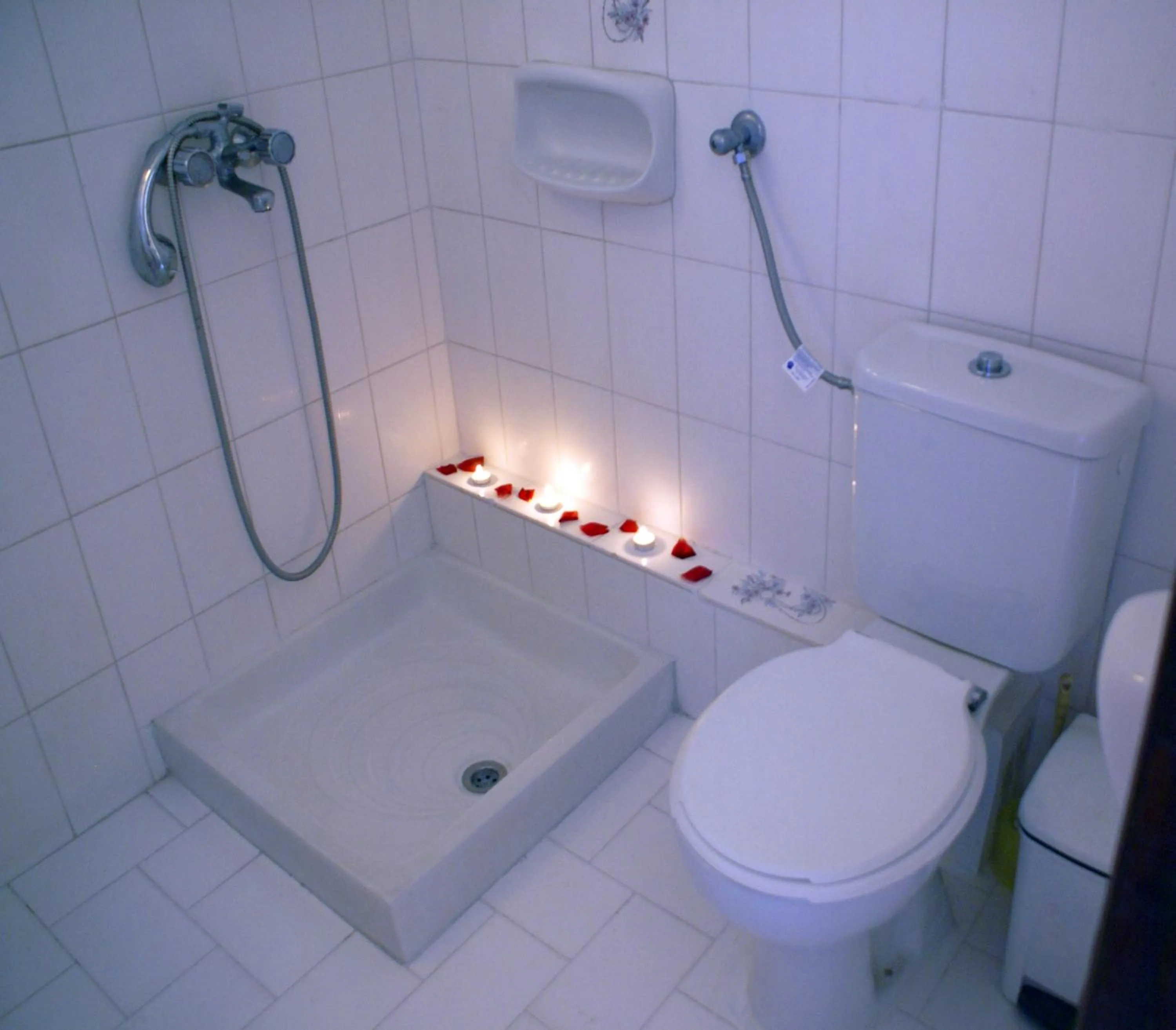 Bathroom in Golden Sun