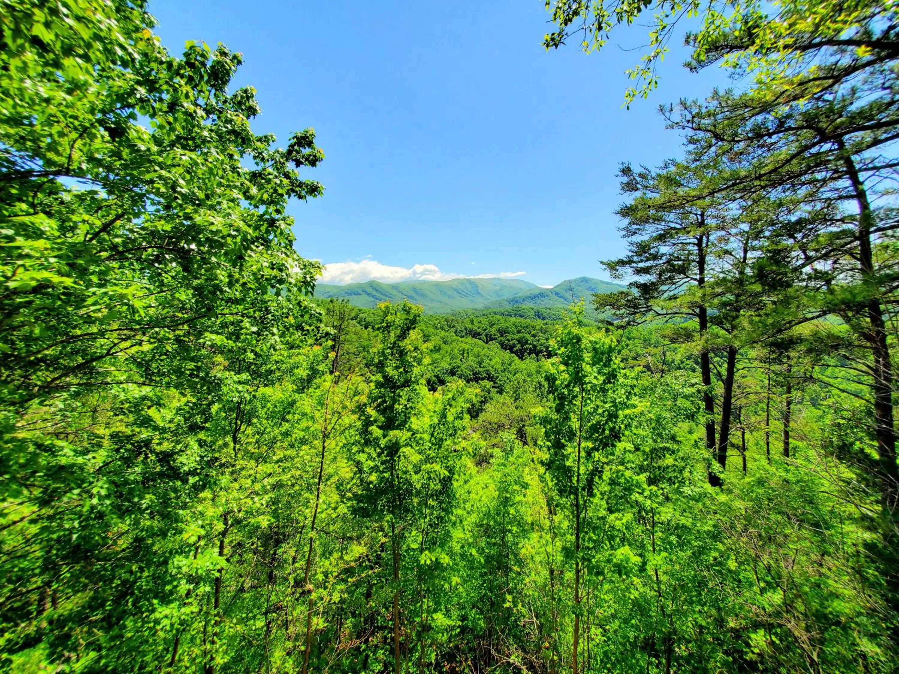 View (from property/room) in FREE Tickets-Mountain Ridge 2 King Bedrooms, Hot Tub, Mountain Views