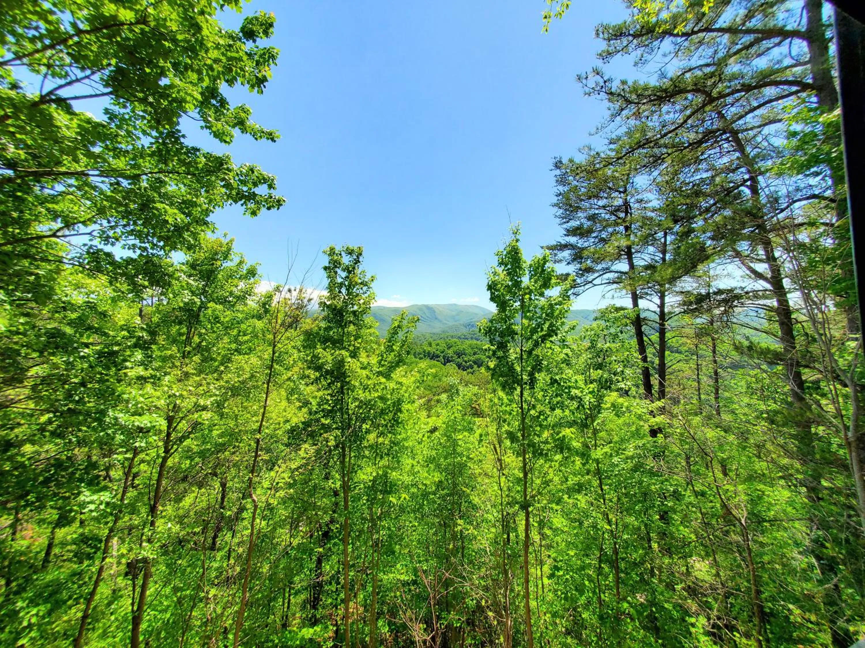 Mountain view in FREE Tickets-Mountain Ridge 2 King Bedrooms, Hot Tub, Mountain Views