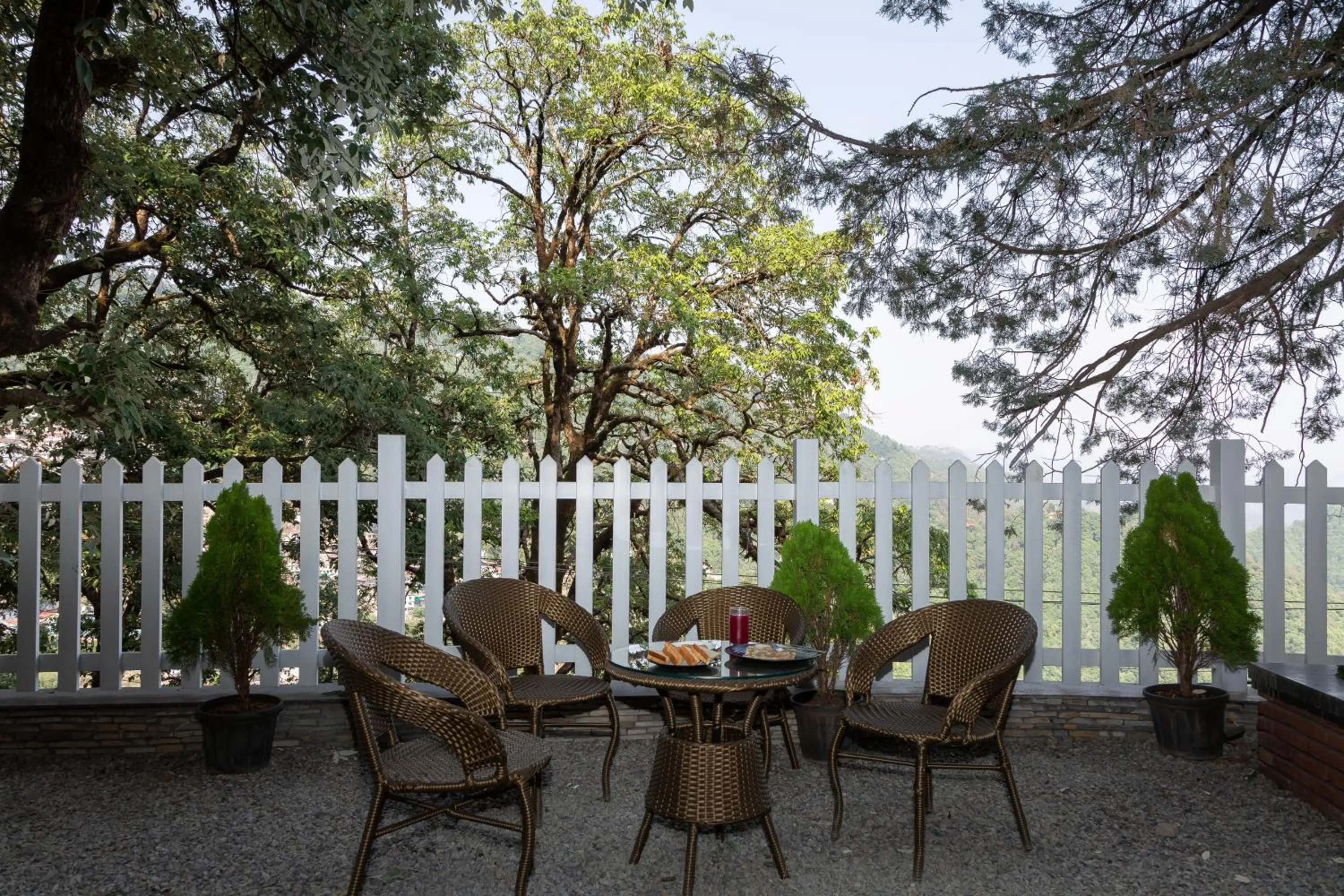 Garden in Hotel LA Eden