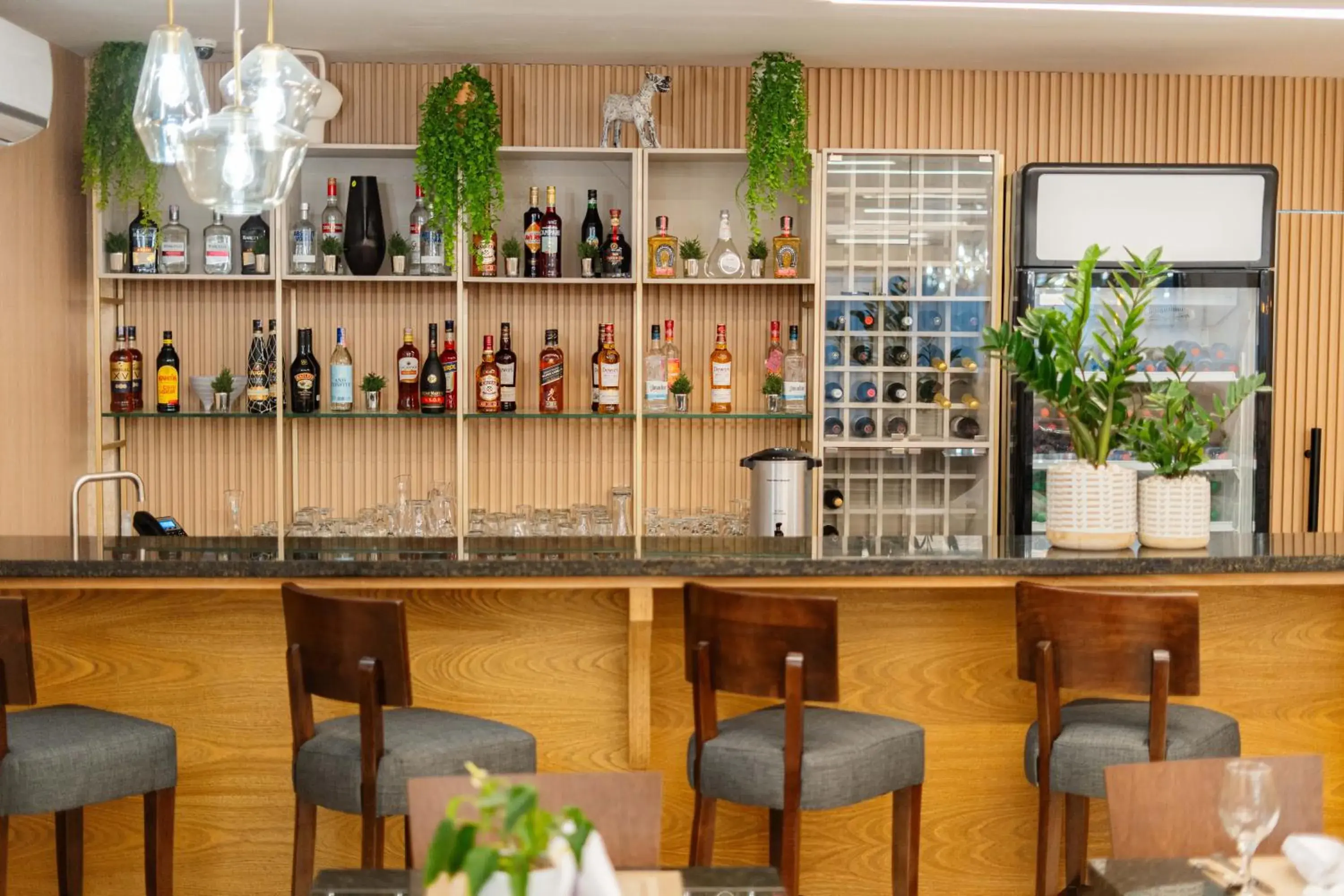 Lounge or bar in Melina Hotel Lounge or bar in Melina Hotel