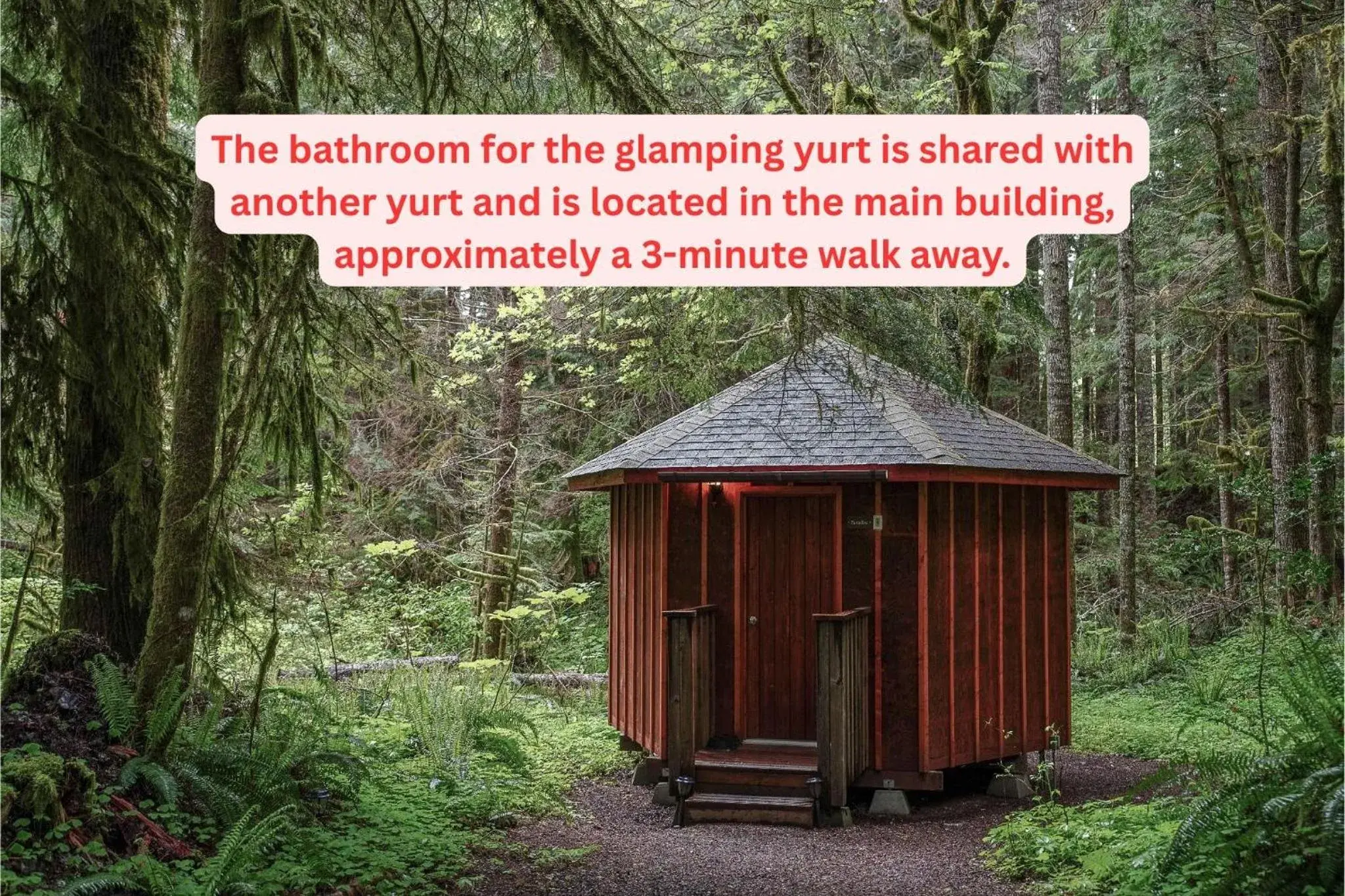 Paradise Yurt (Shared shower, Pet Friendly, Pet Fee Not Included) in Alexander's Lodge Paradise Yurt (Shared shower, Pet Friendly, Pet Fee Not Included) in Alexander's Lodge