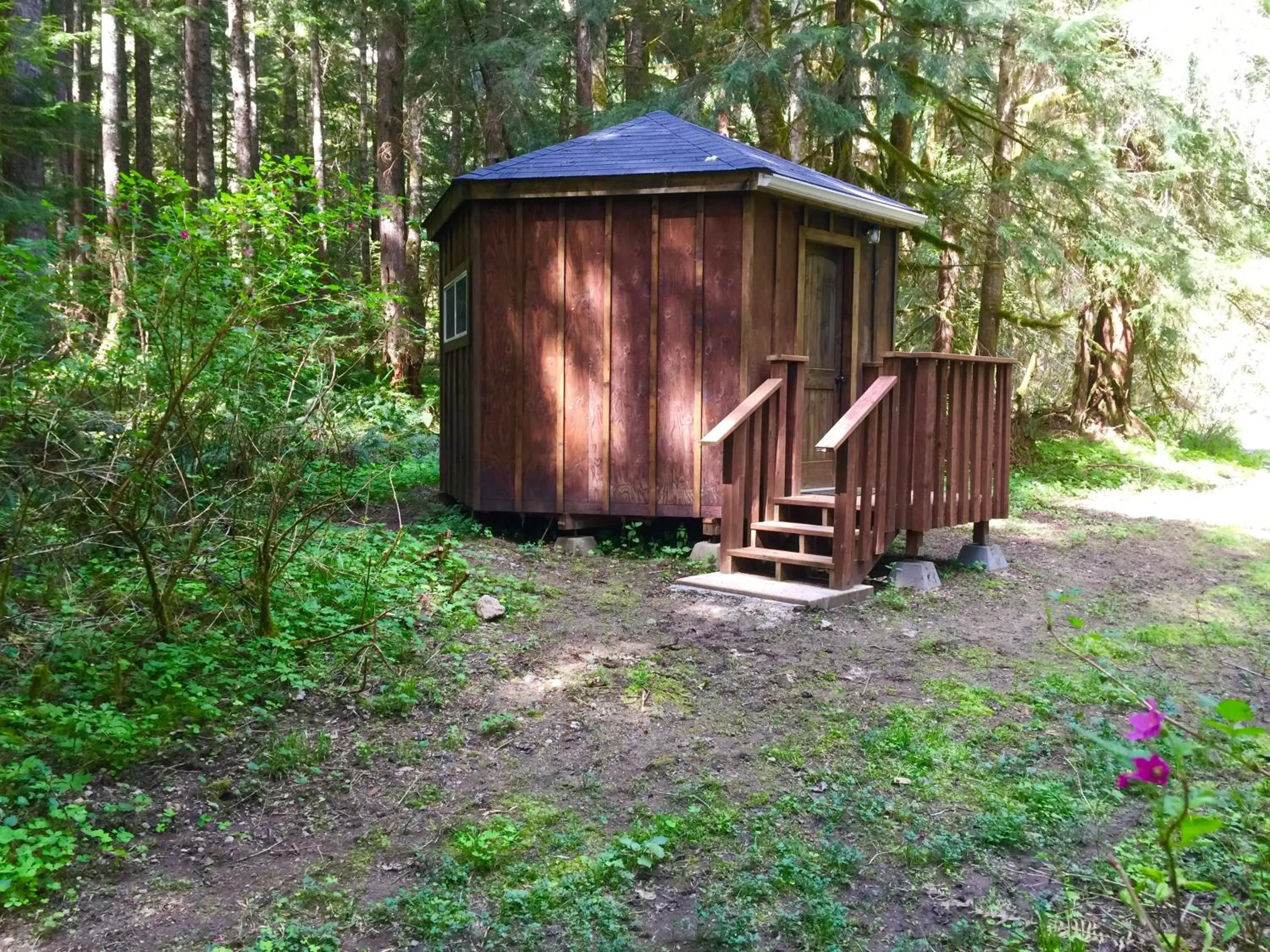 Sunrise Yurt (Shared shower, Pet Friendly, Pet Fee Not Included) - single occupancy in Alexander's Lodge
