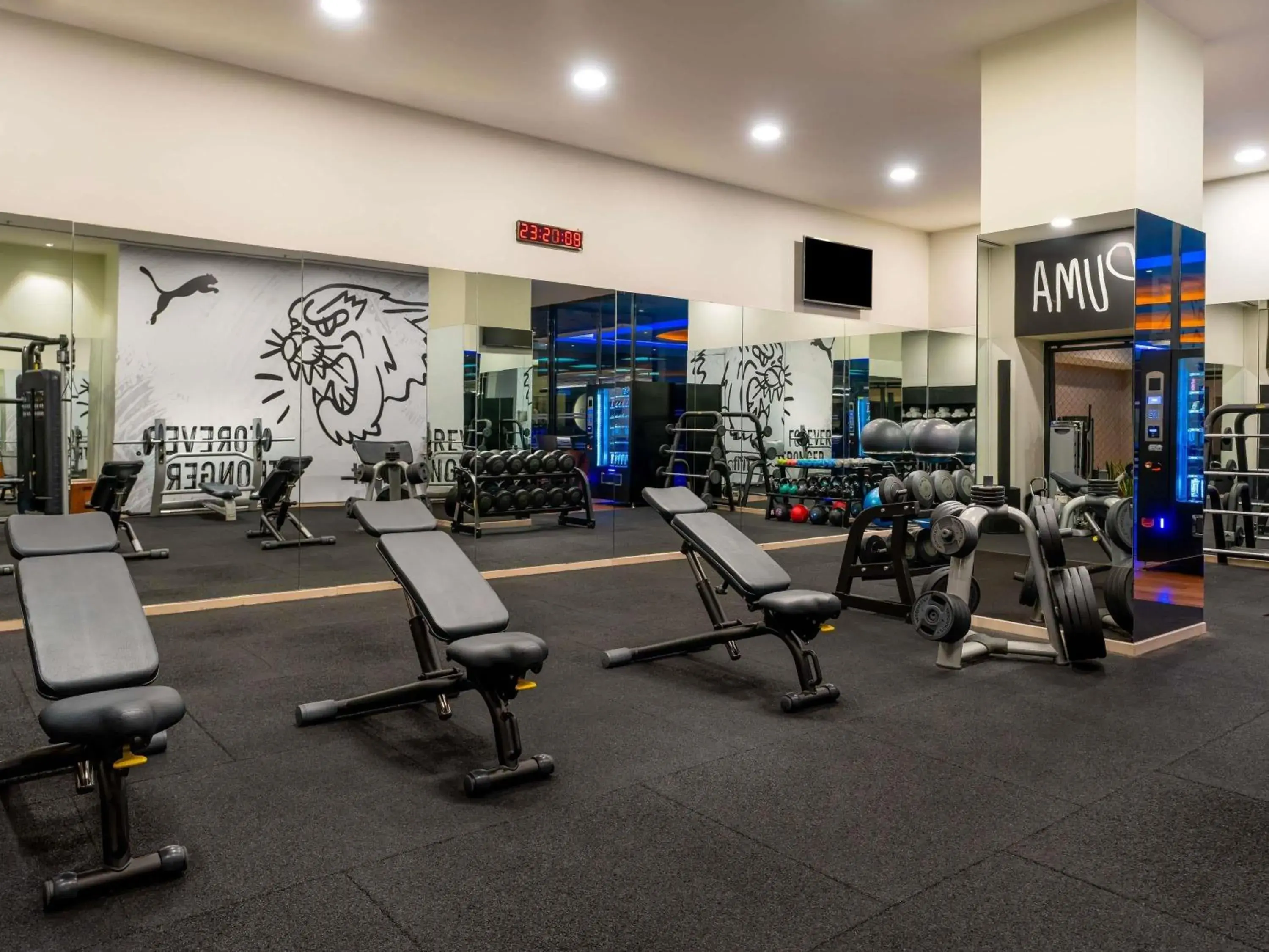 Fitness centre/facilities in Swissotel The Bosphorus Istanbul Fitness centre/facilities in Swissotel The Bosphorus Istanbul