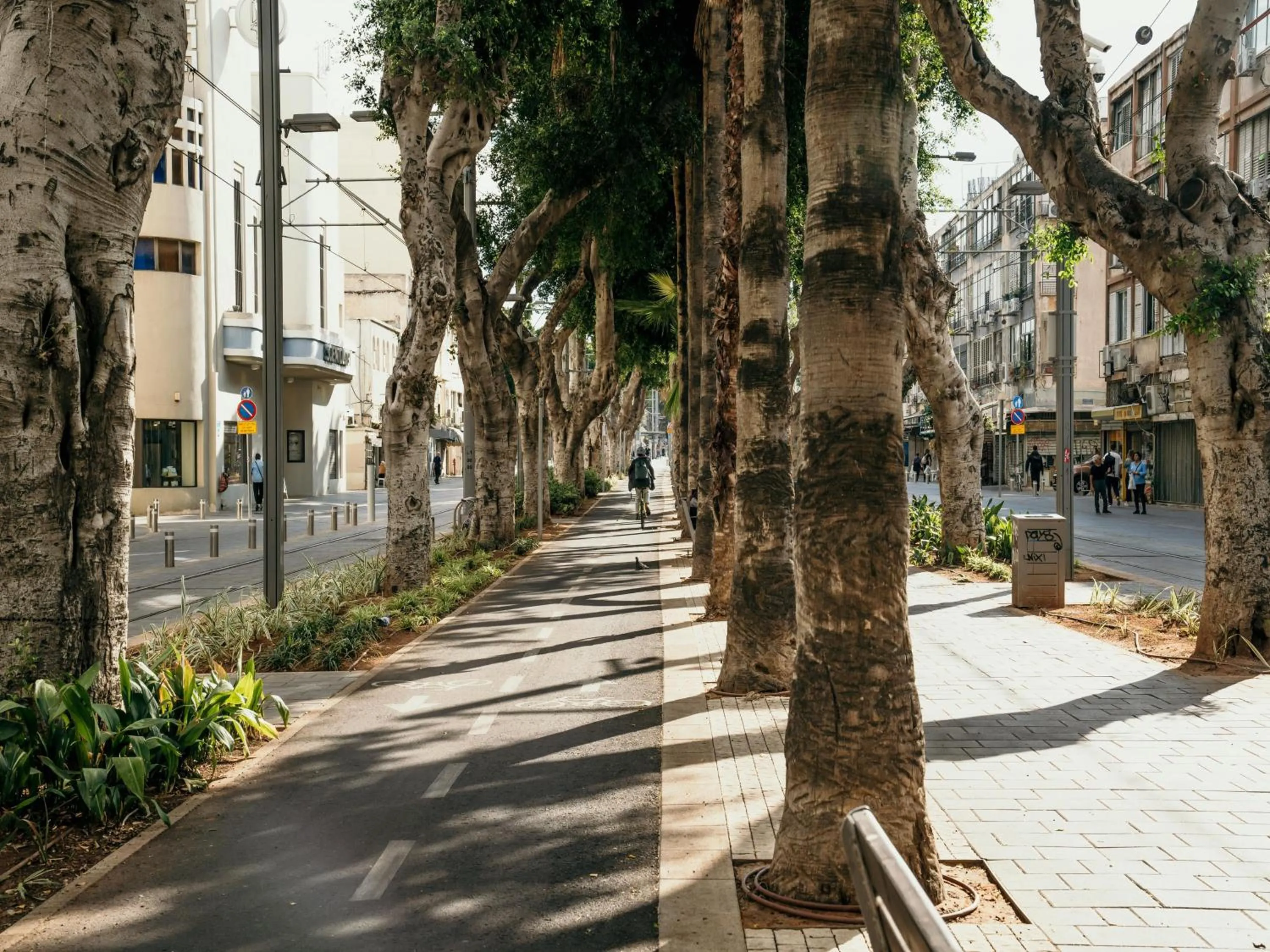 Area and facilities in DeBlox living - Alhambra Apartments