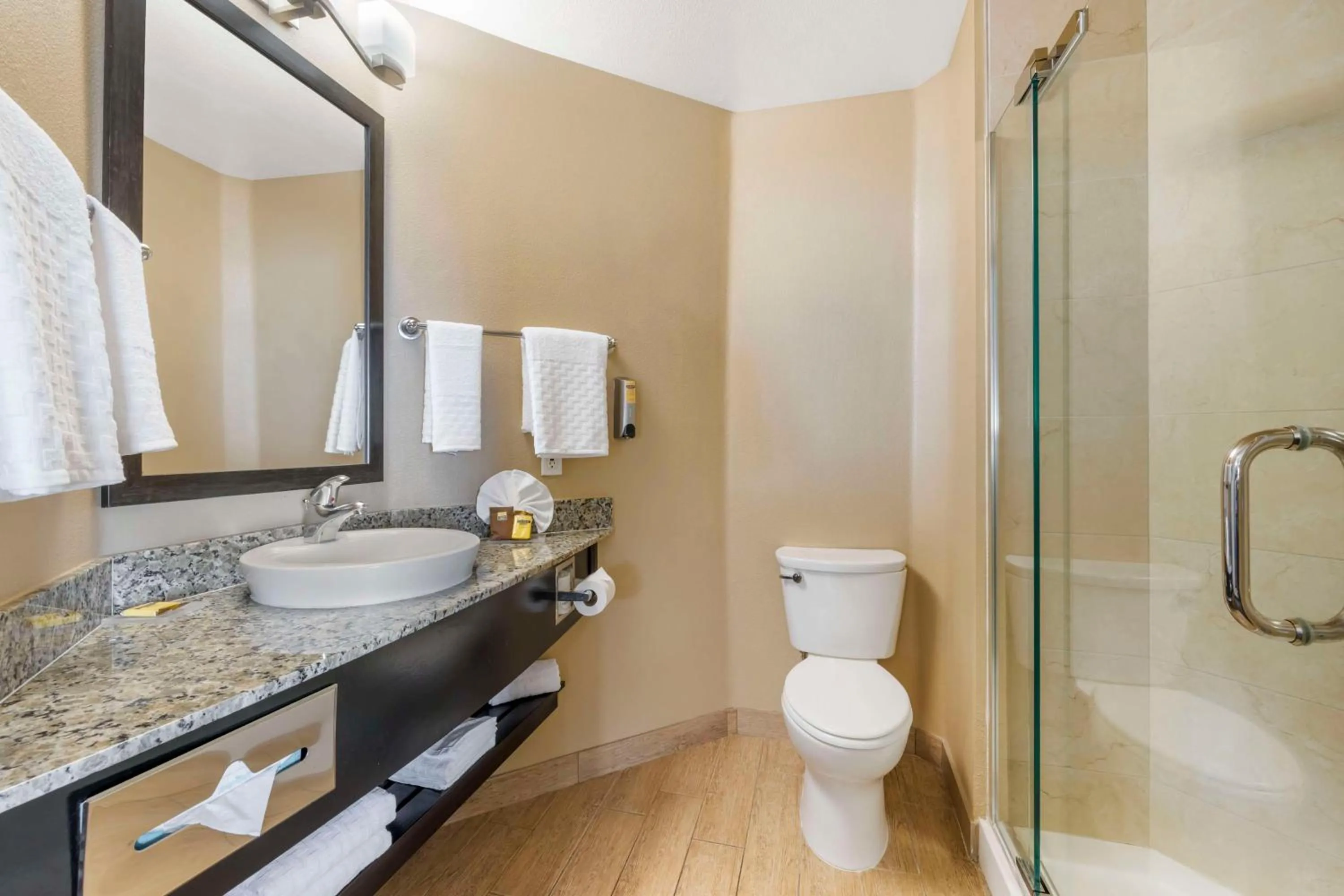 Bathroom in Best Western Plus Oceanside Palms