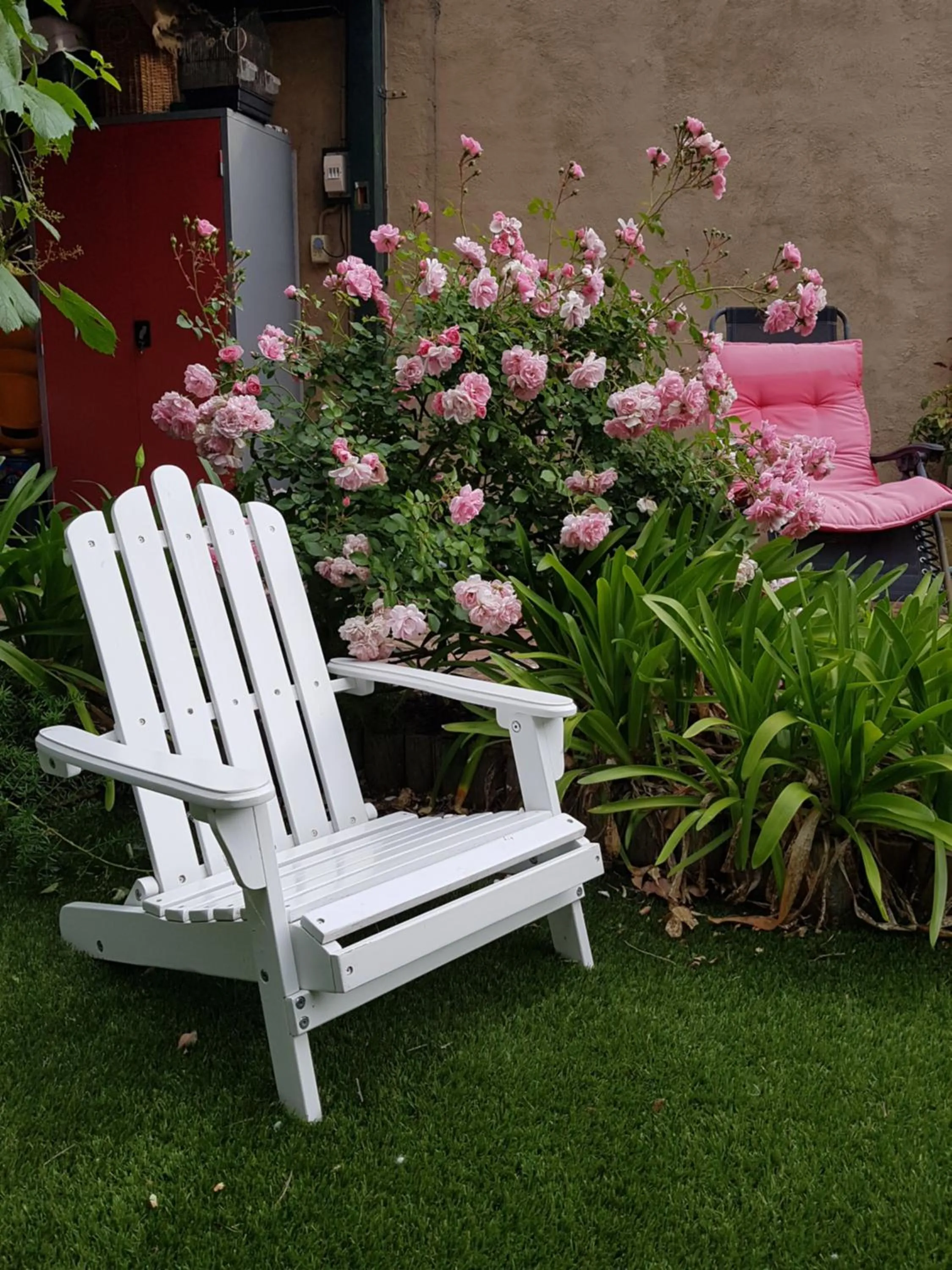 Garden in Water Bay Villa Bed & Breakfast