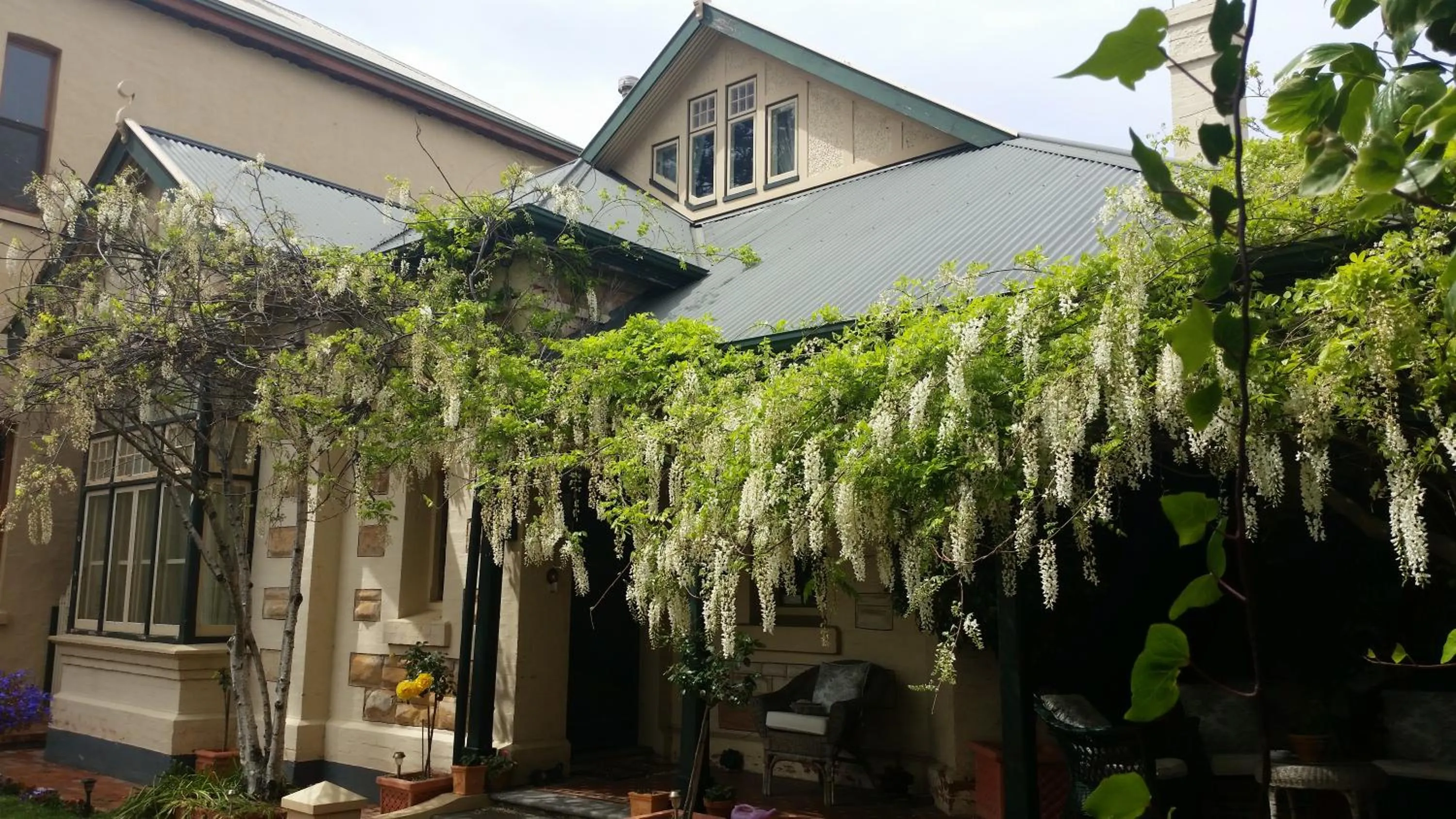 Garden in Water Bay Villa Bed & Breakfast