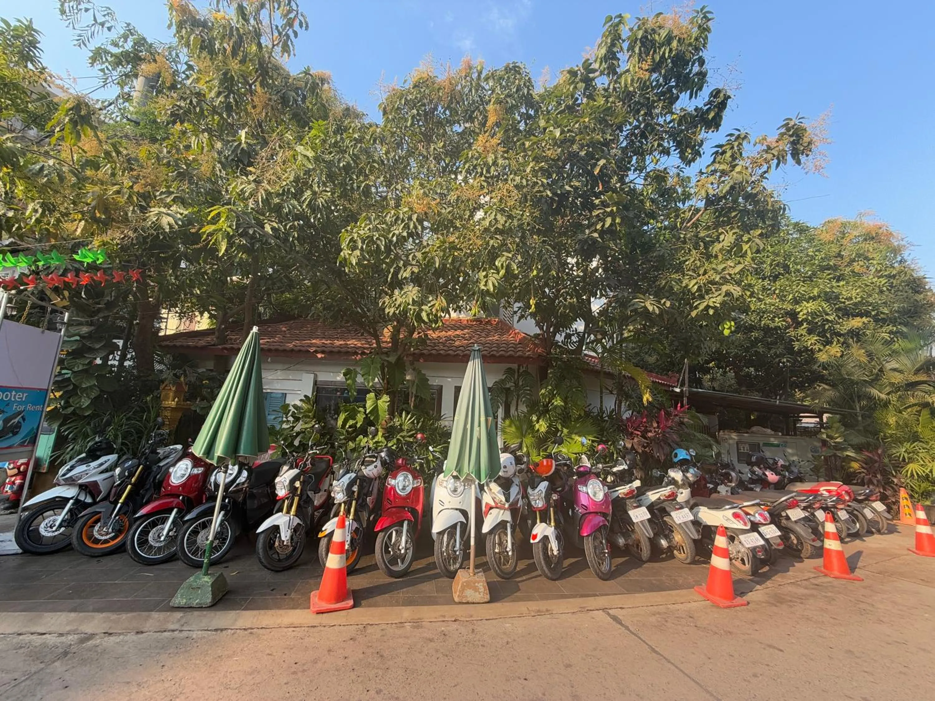 Asanak D'Angkor Boutique Hotel