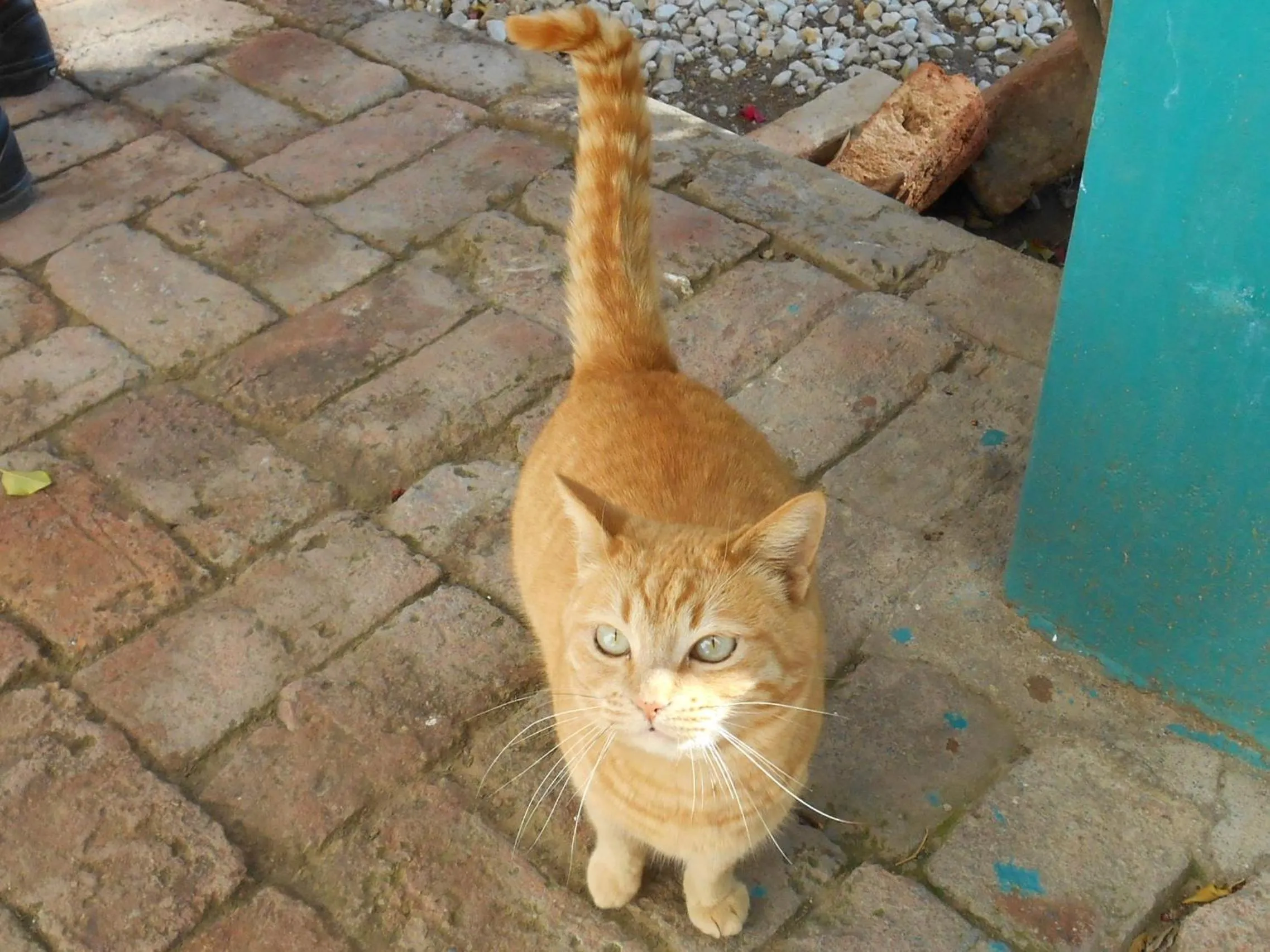 Property building in Obesa Lodge