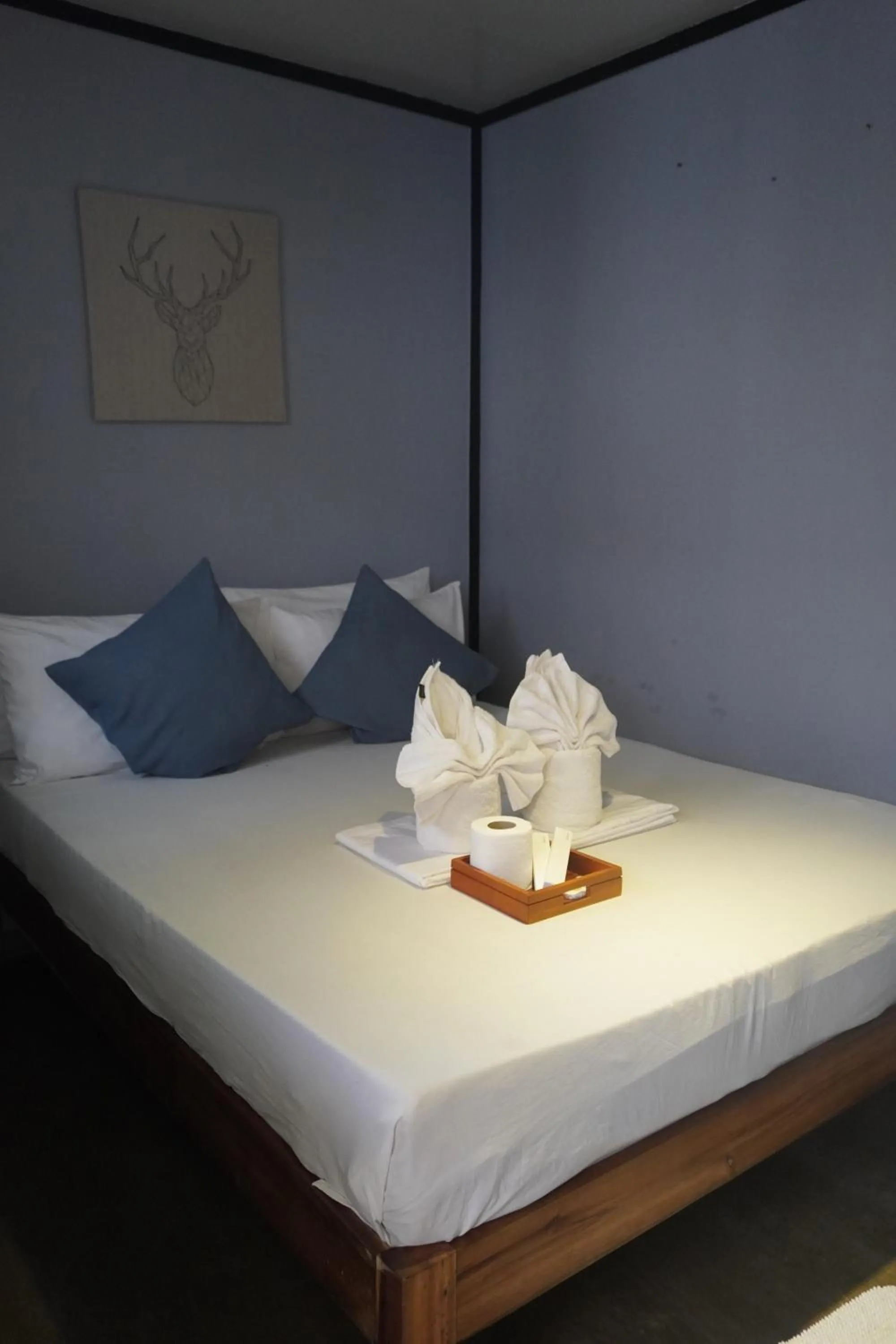 Bed in Keira Backpackers