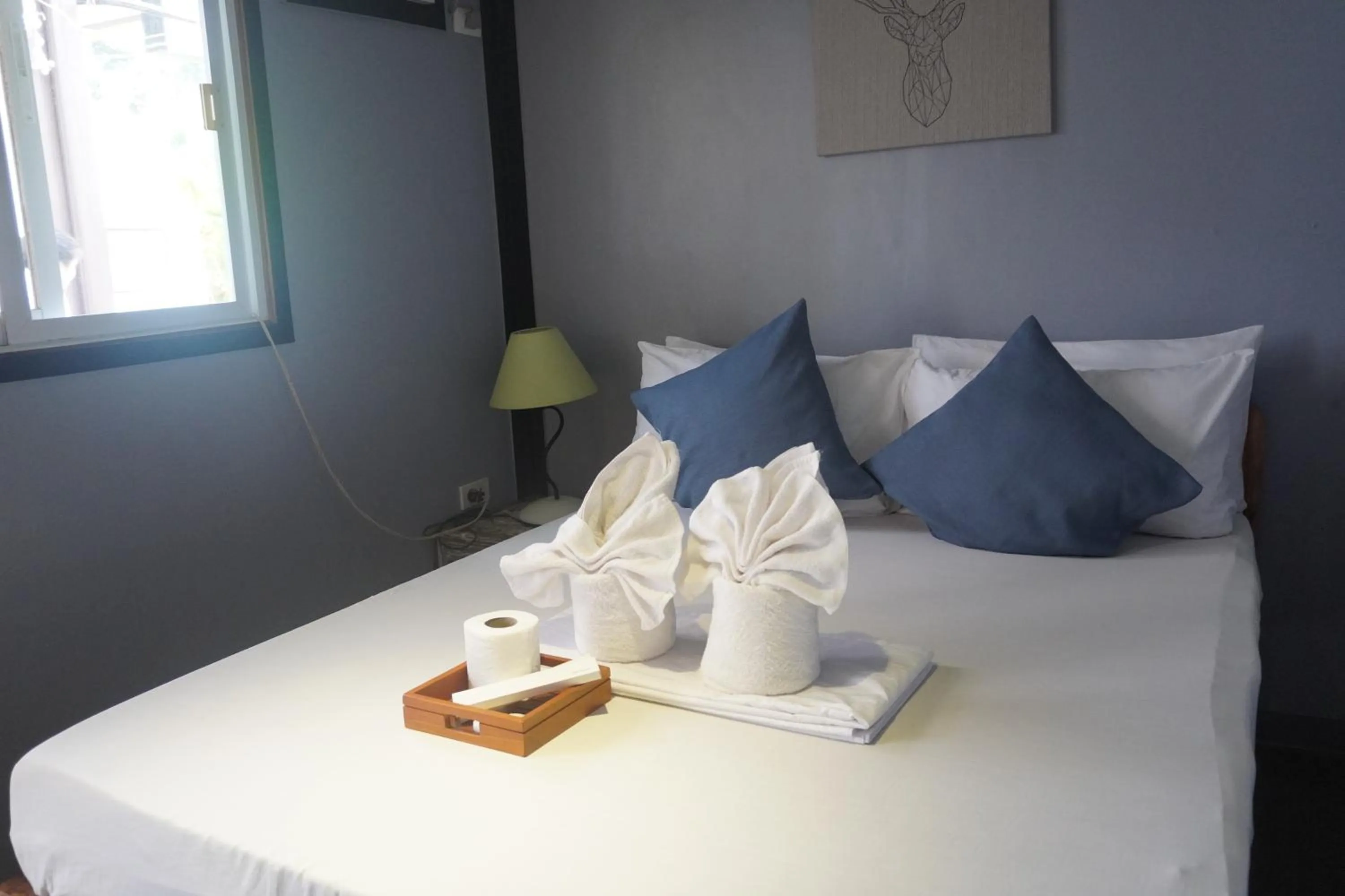 Bed in Keira Backpackers