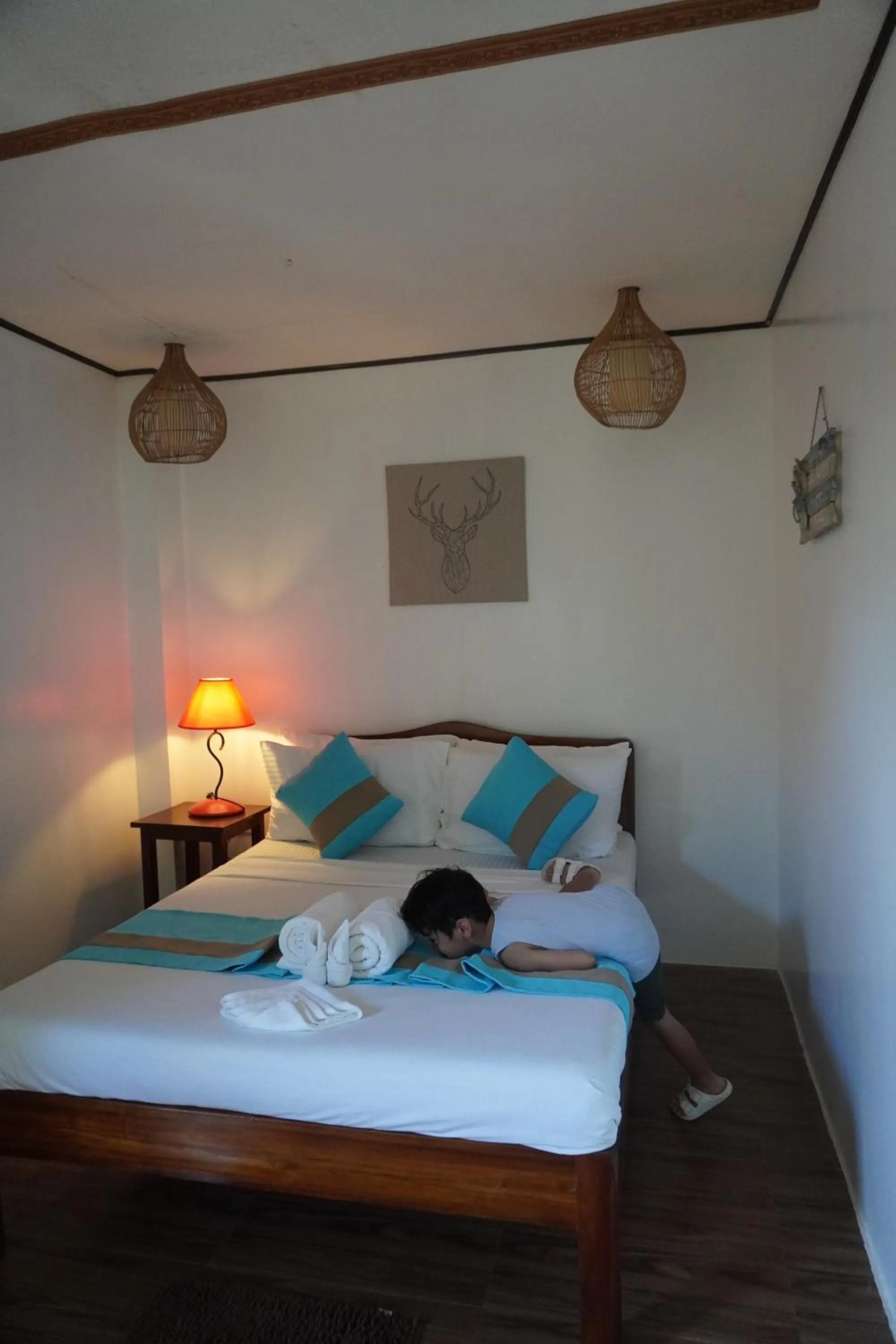 Bed in Keira Backpackers