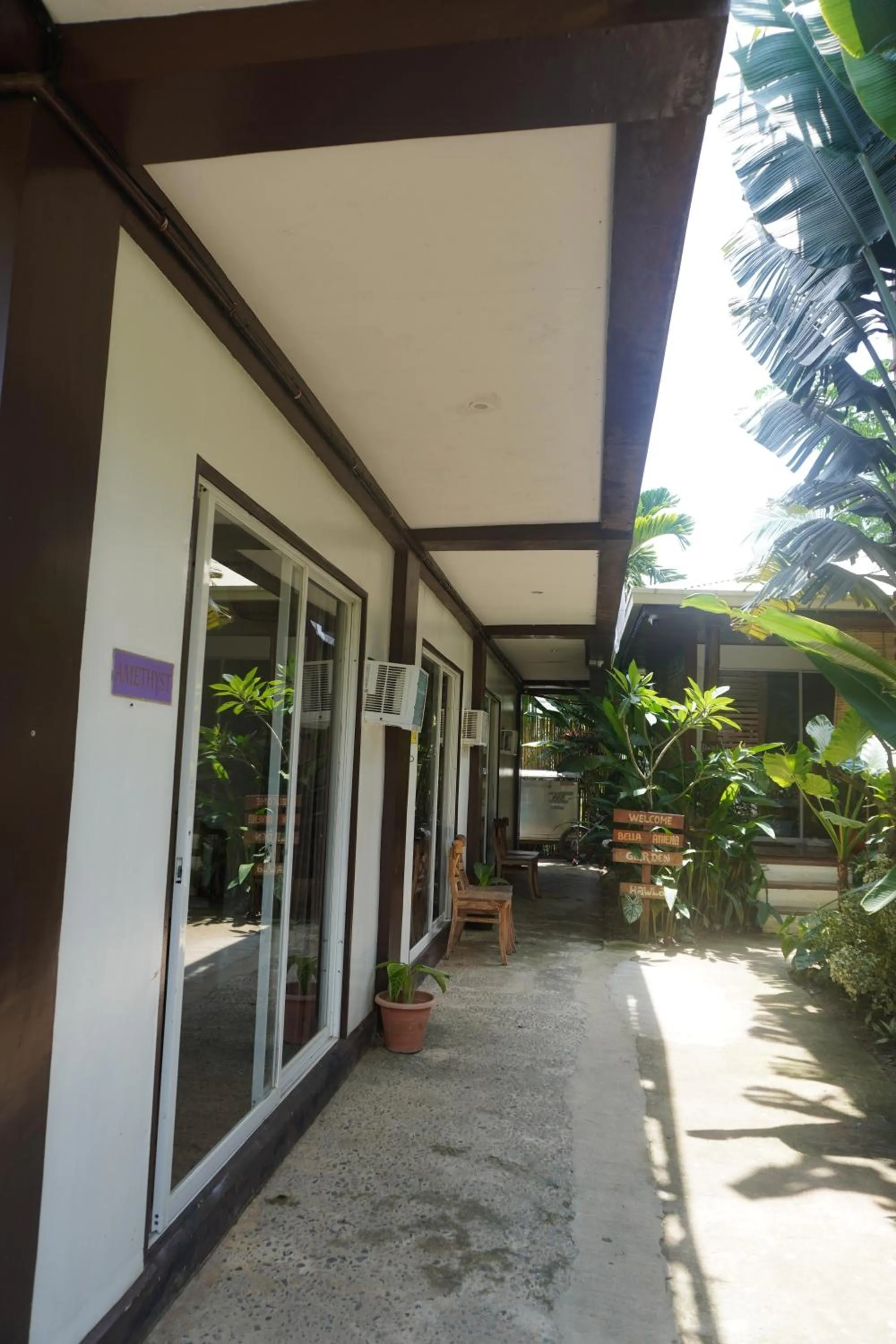 Garden view in Keira Backpackers