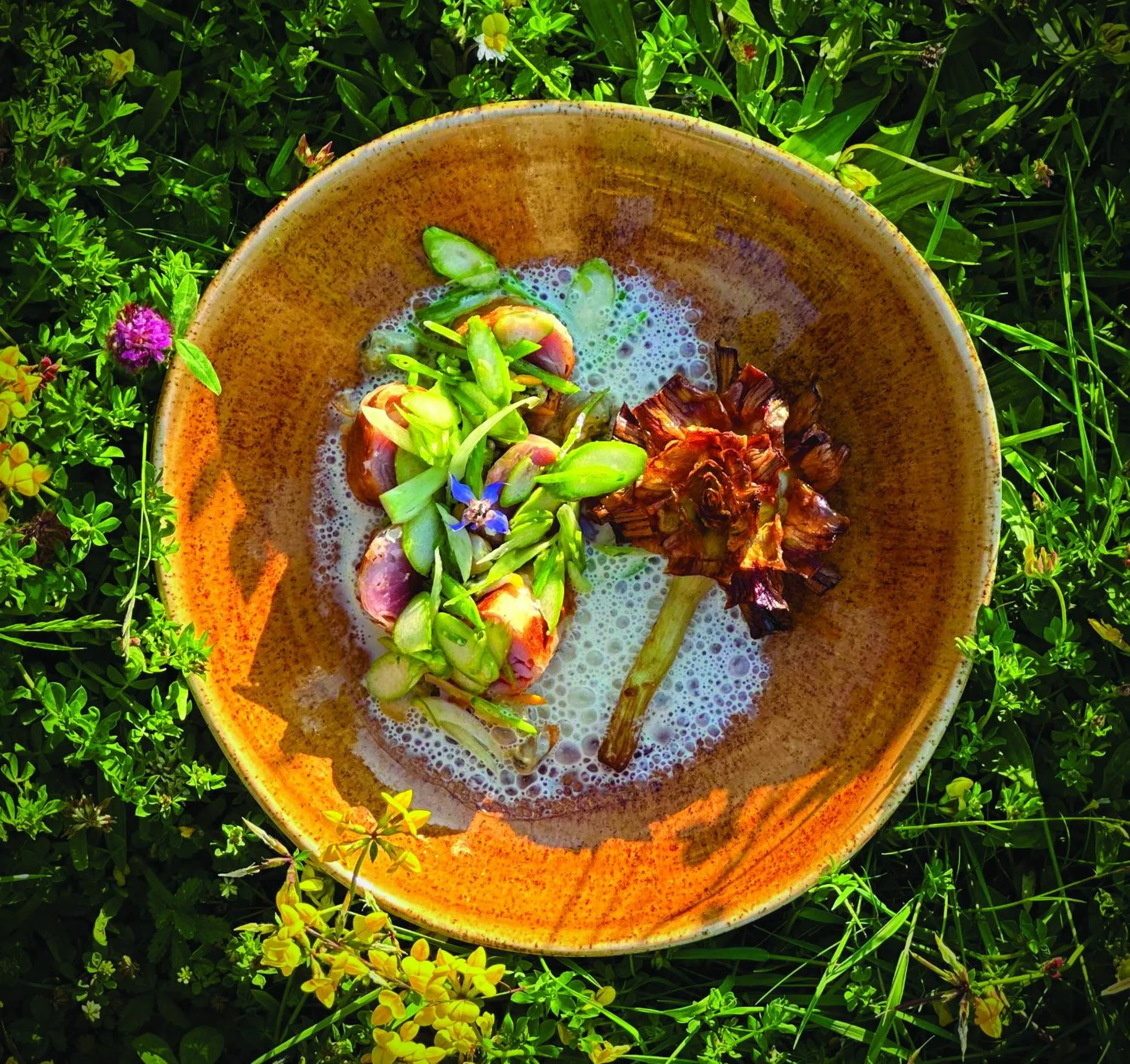 Château du Bost - Teritoria