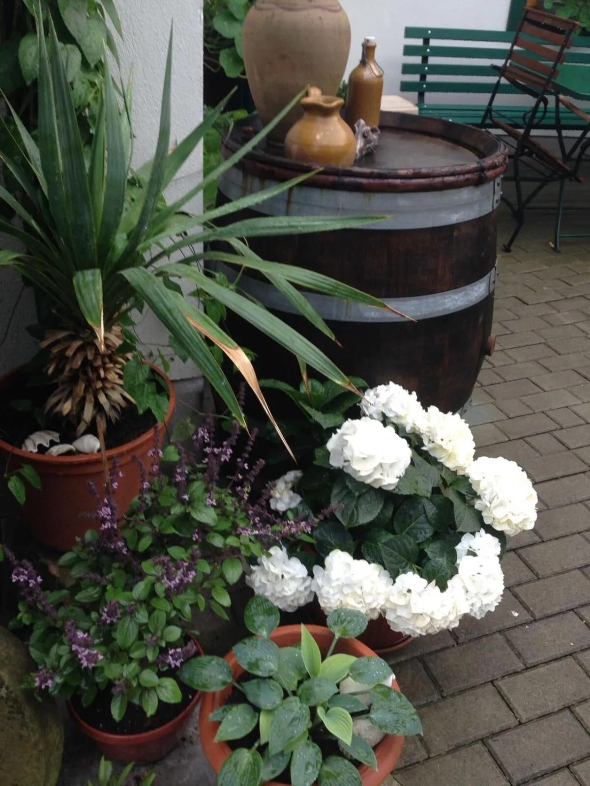 Garden in Ferienhäusel am Malerweg mit Terrasse