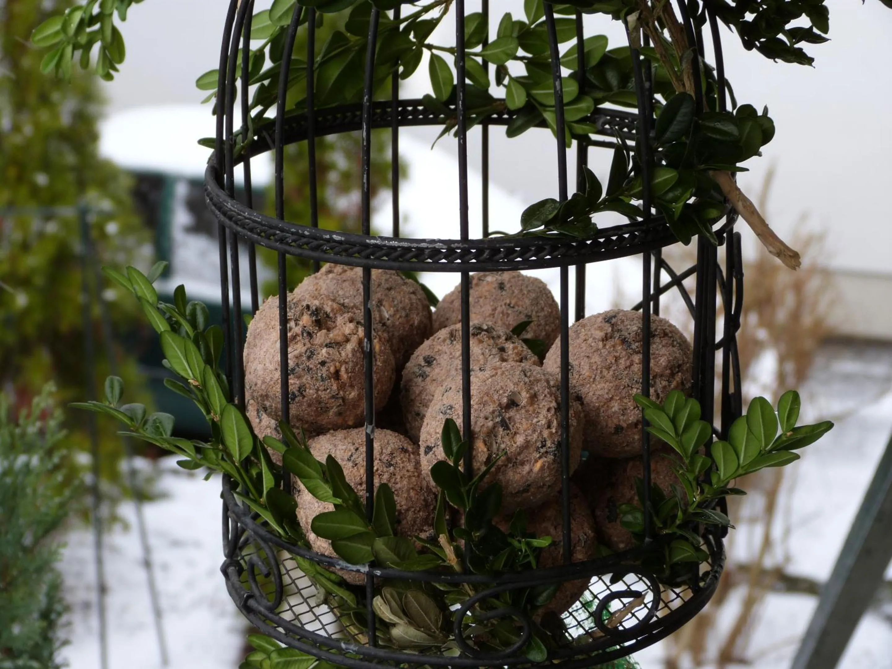Garden in Ferienhäusel am Malerweg mit Terrasse