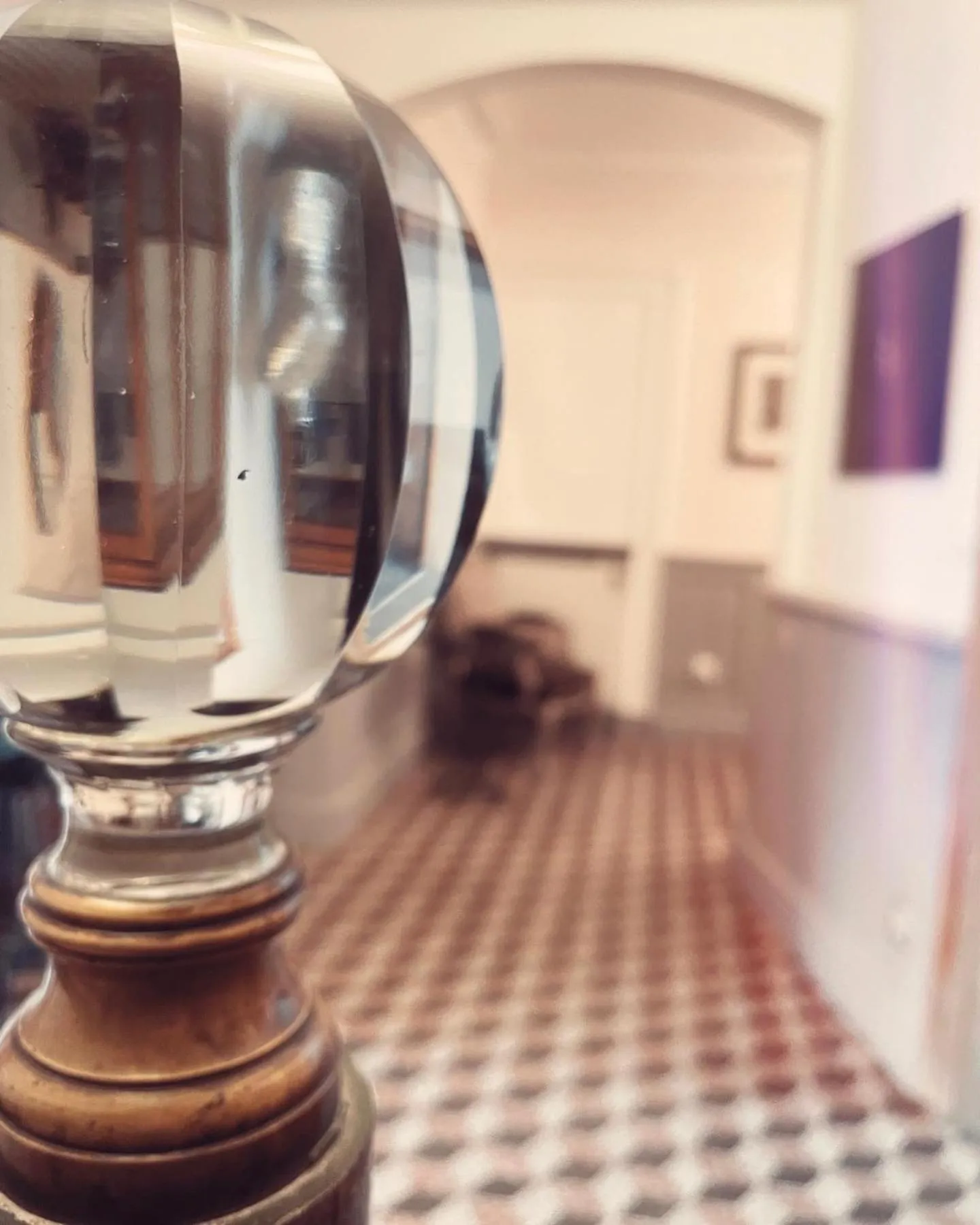 Property building in L'oiseau Bleu suite MERLE BLEU