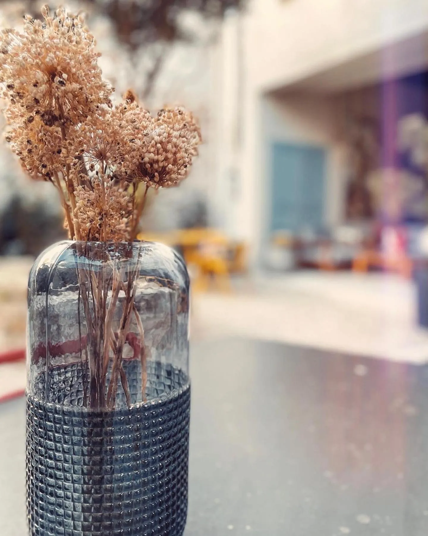 Property building in L'oiseau Bleu suite MERLE BLEU