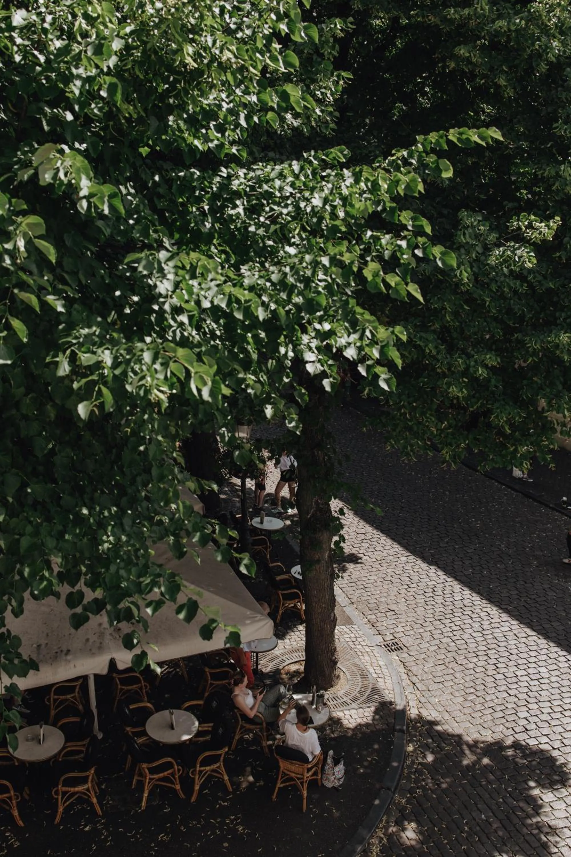 View (from property/room) in Boutique Hotel Stella Maris