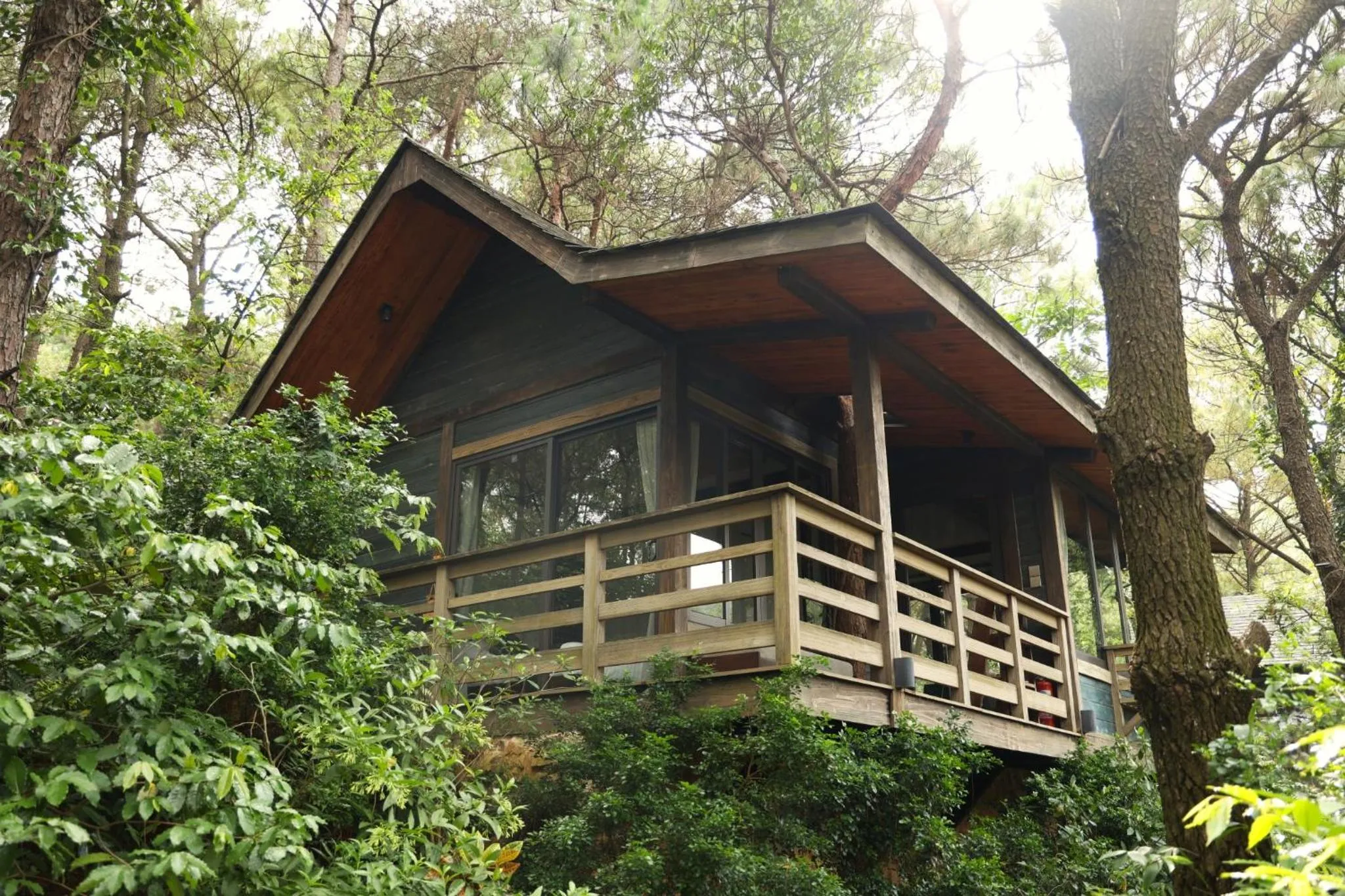 Garden view in Amaya Retreat