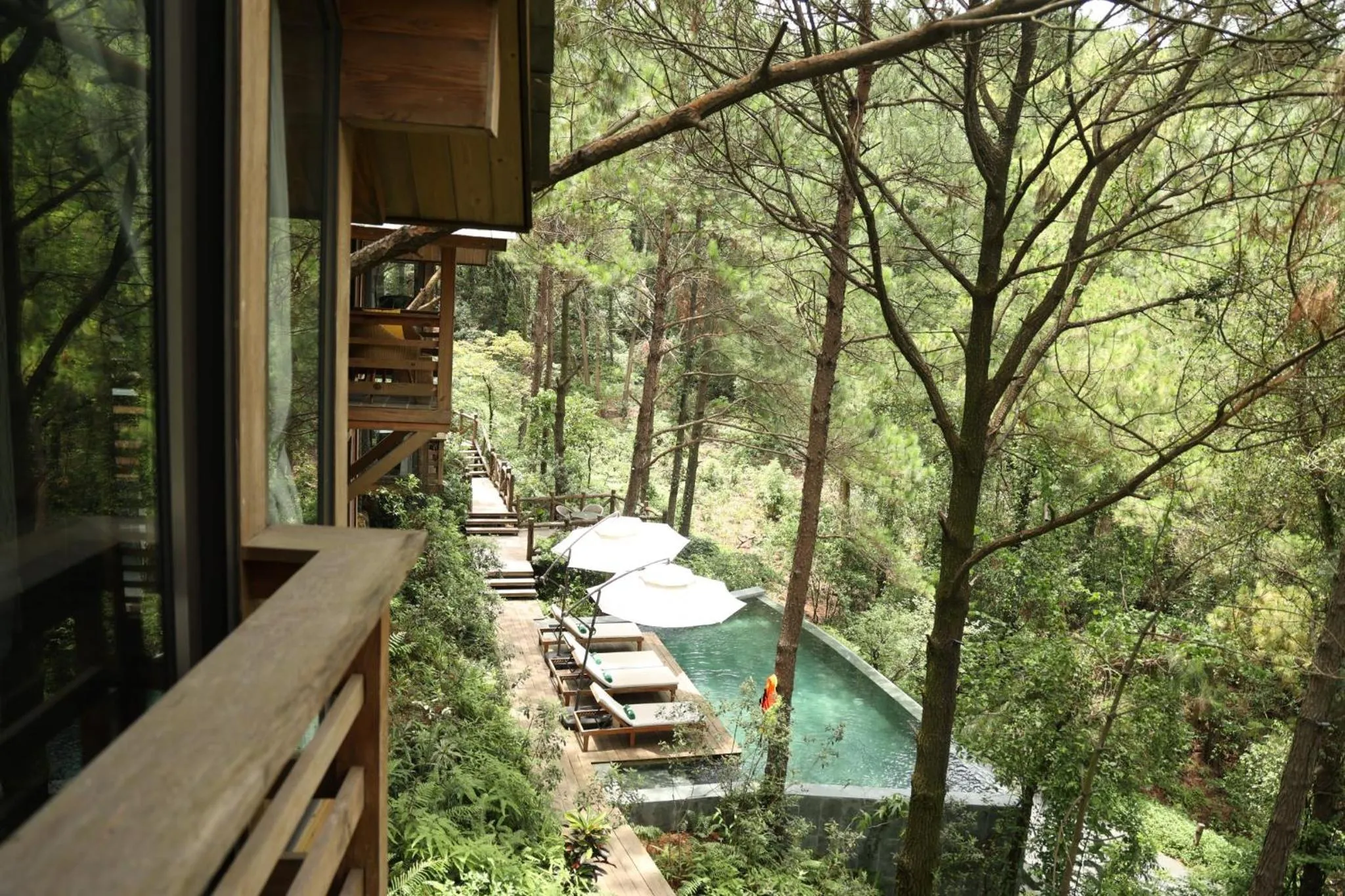 View (from property/room) in Amaya Retreat